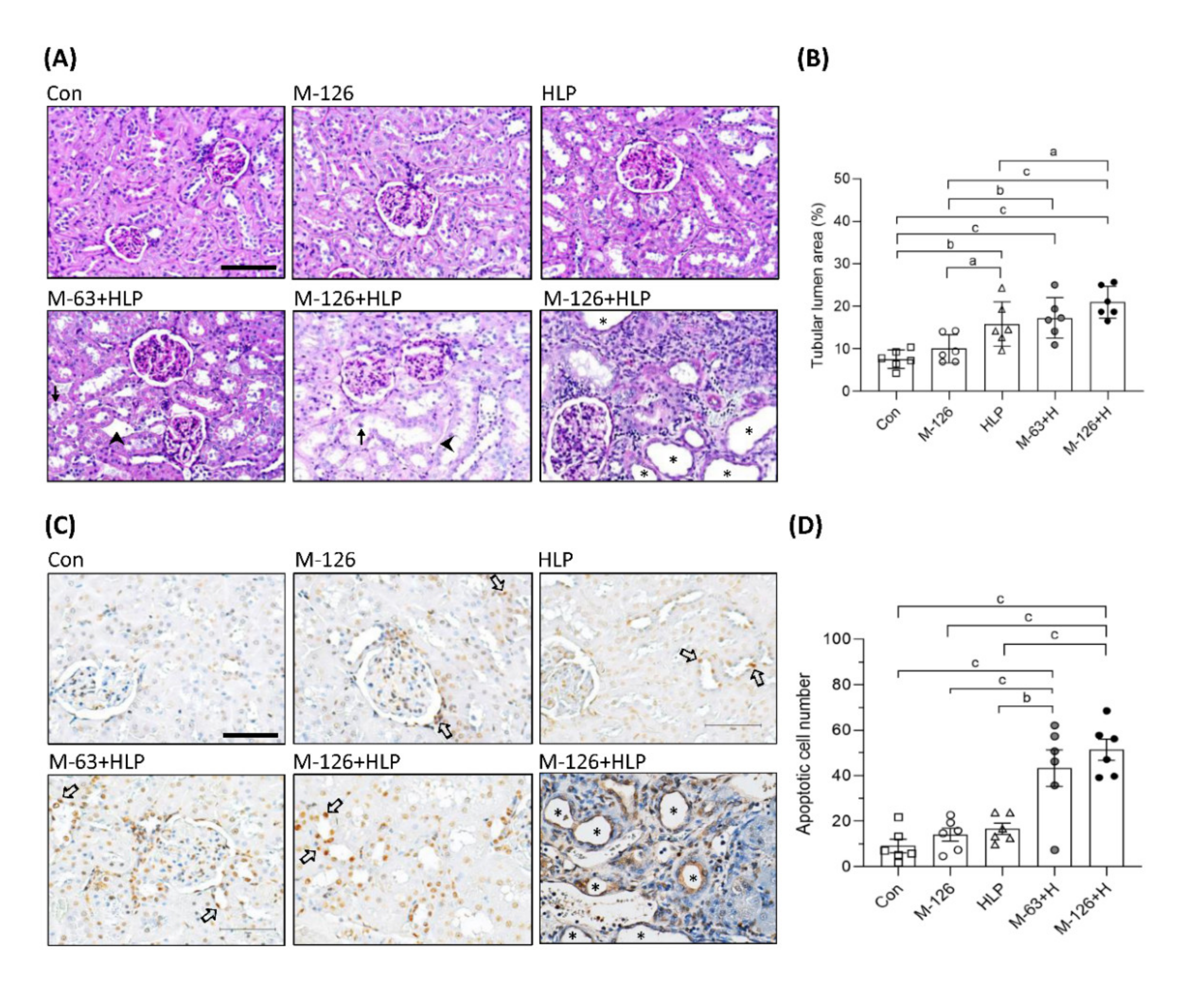 Antioxidants 10 01464 g004 Antioxidants 10 01464 g004
