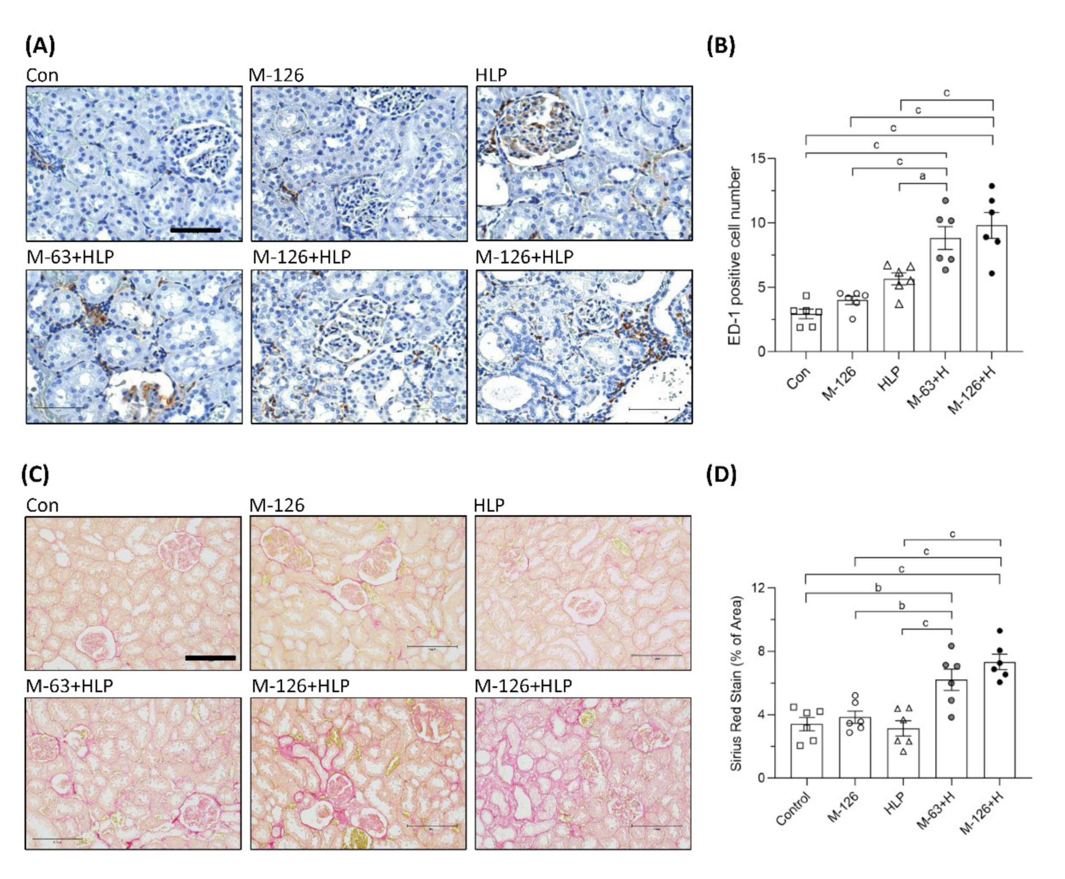 Antioxidants 10 01464 g005 Antioxidants 10 01464 g005