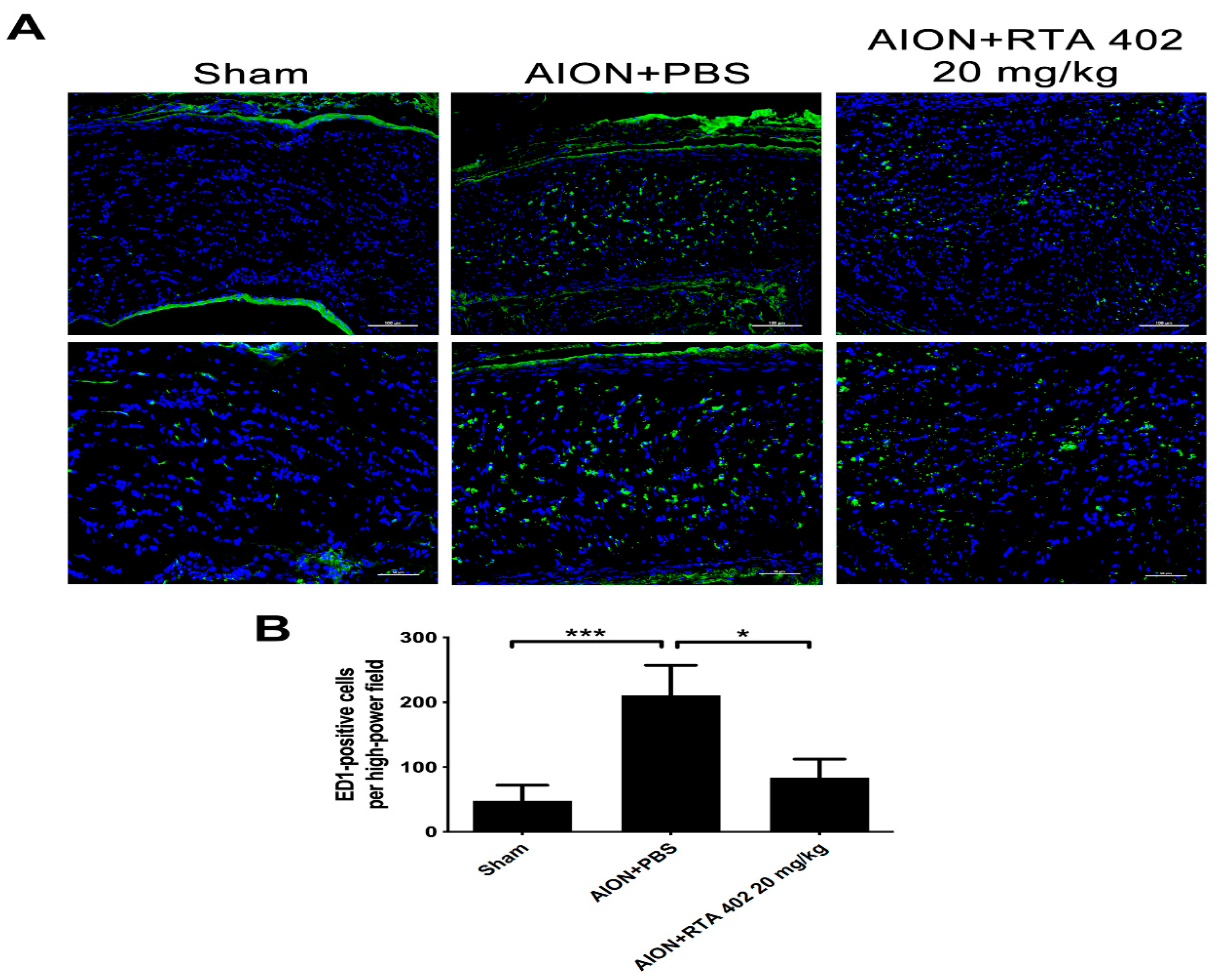 Antioxidants 10 01466 g006