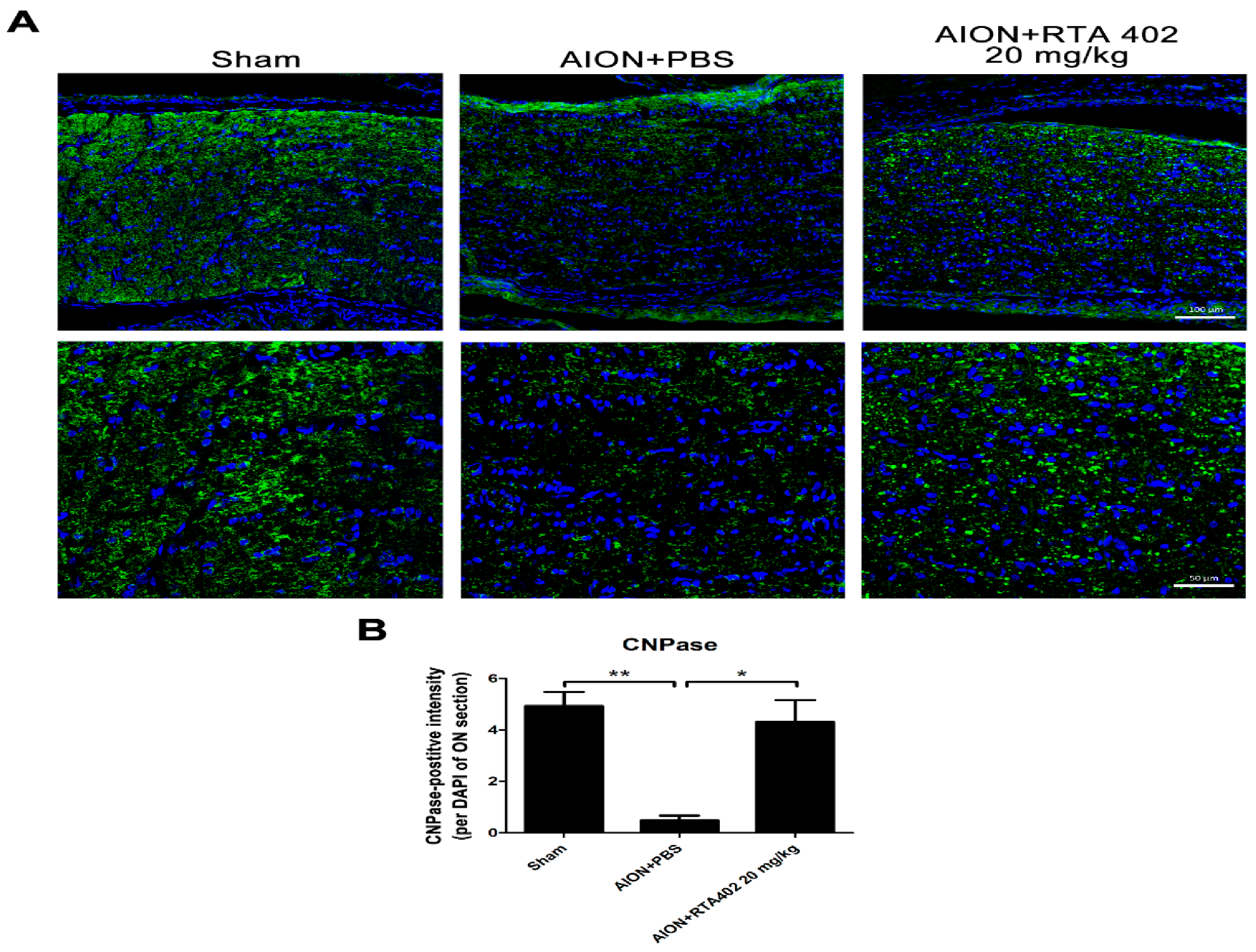 Antioxidants 10 01466 g008