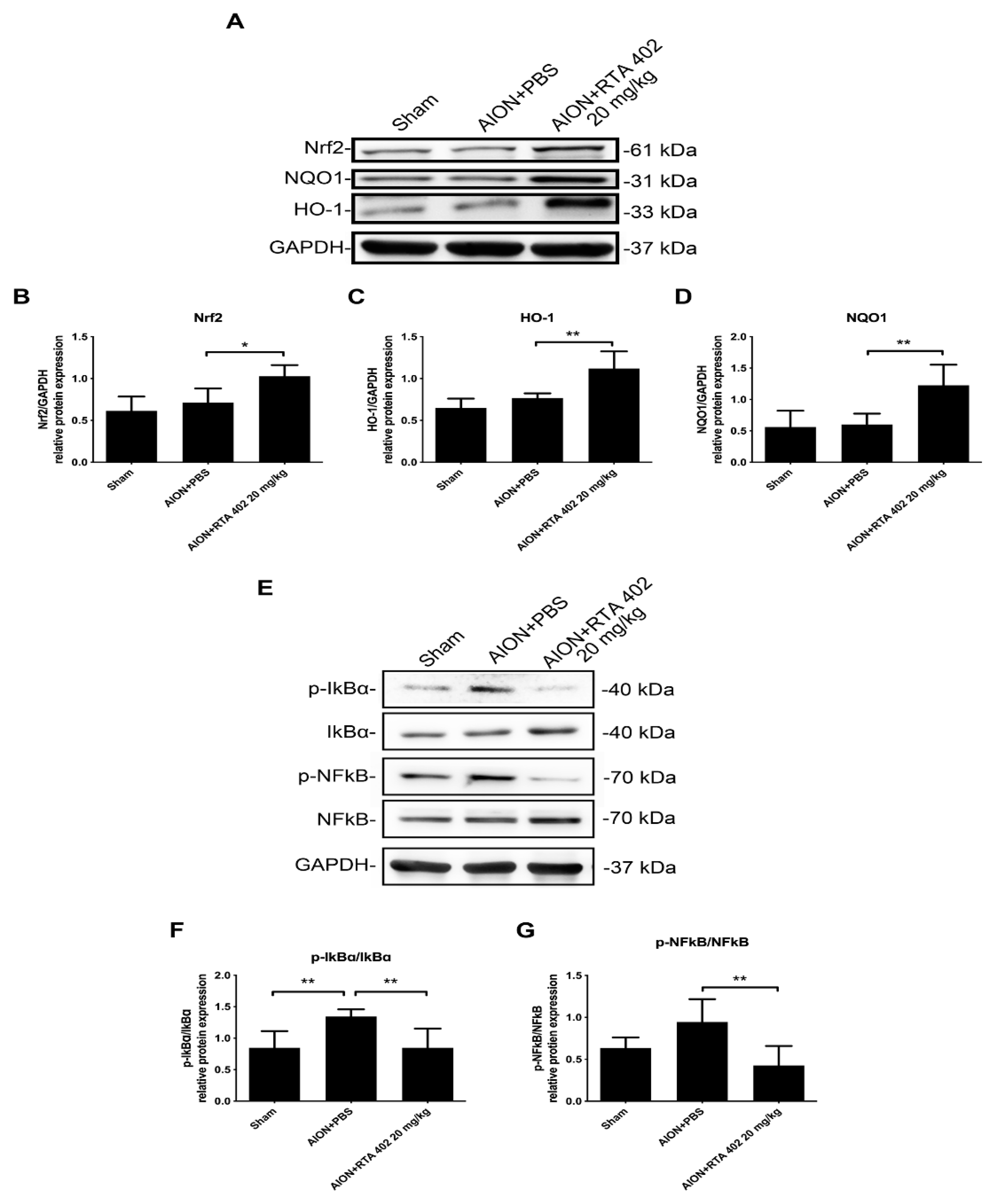 Antioxidants 10 01466 g009