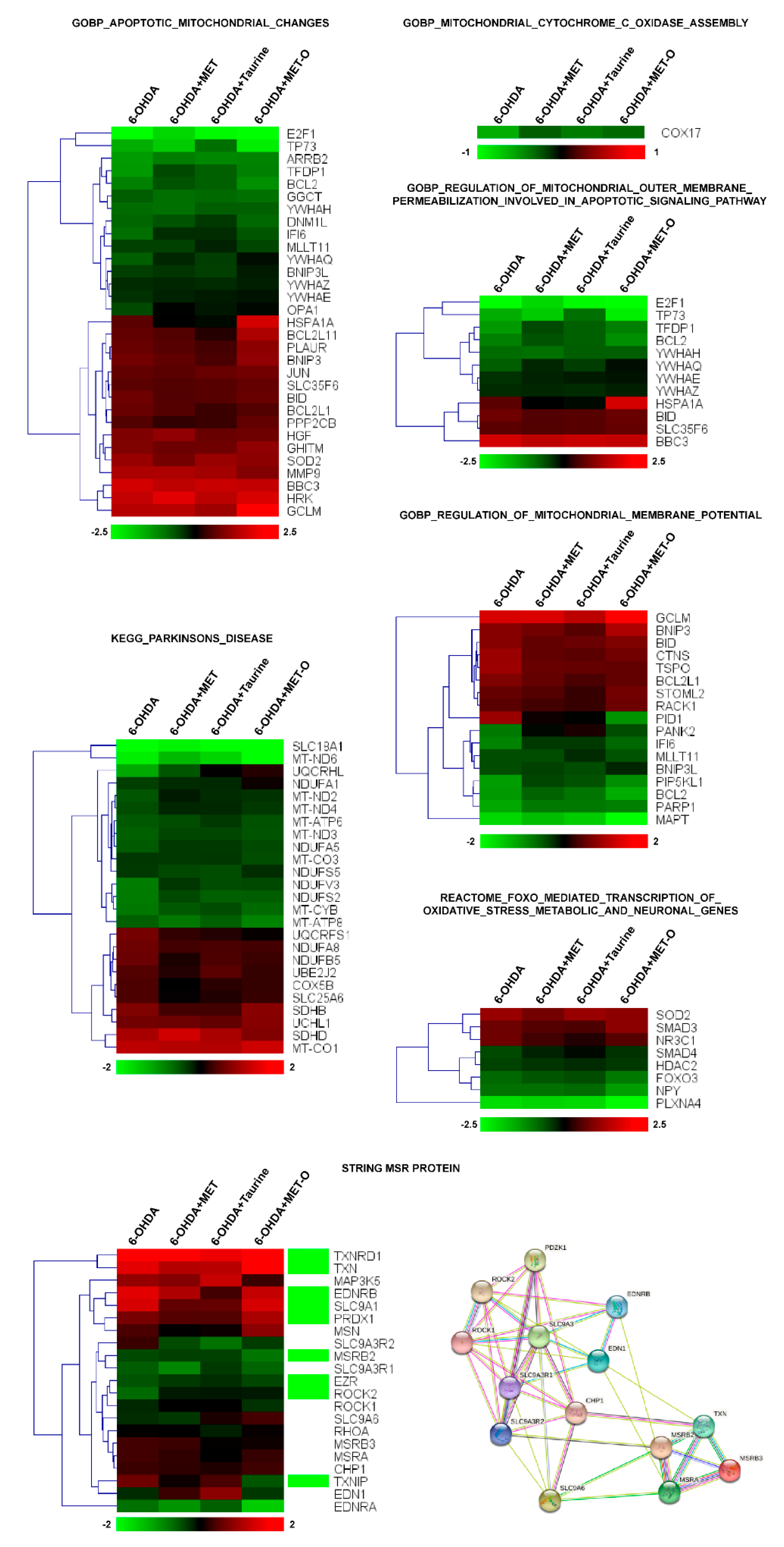 Antioxidants 10 01467 g003 Antioxidants 10 01467 g003