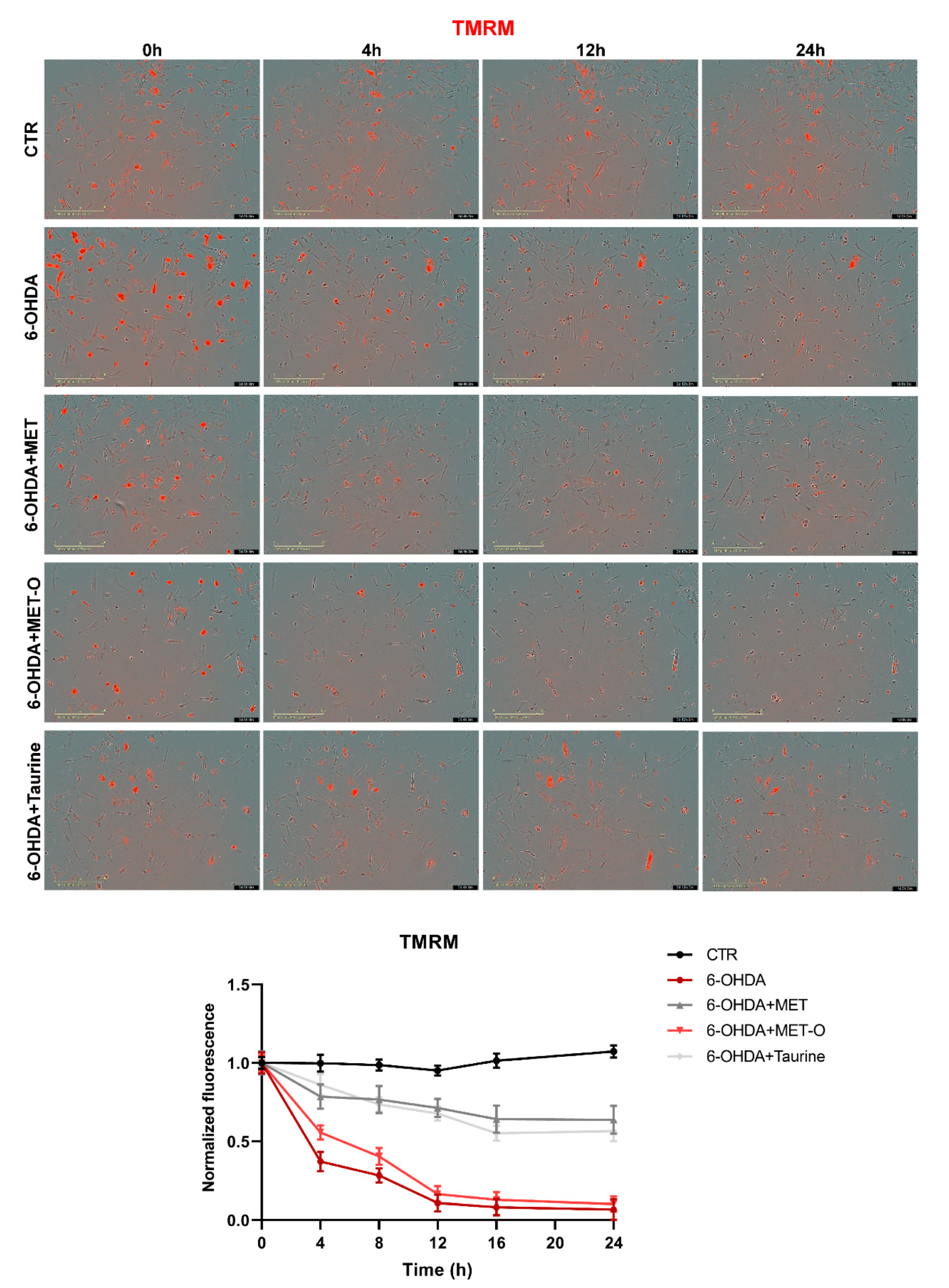 Antioxidants 10 01467 g009 Antioxidants 10 01467 g009