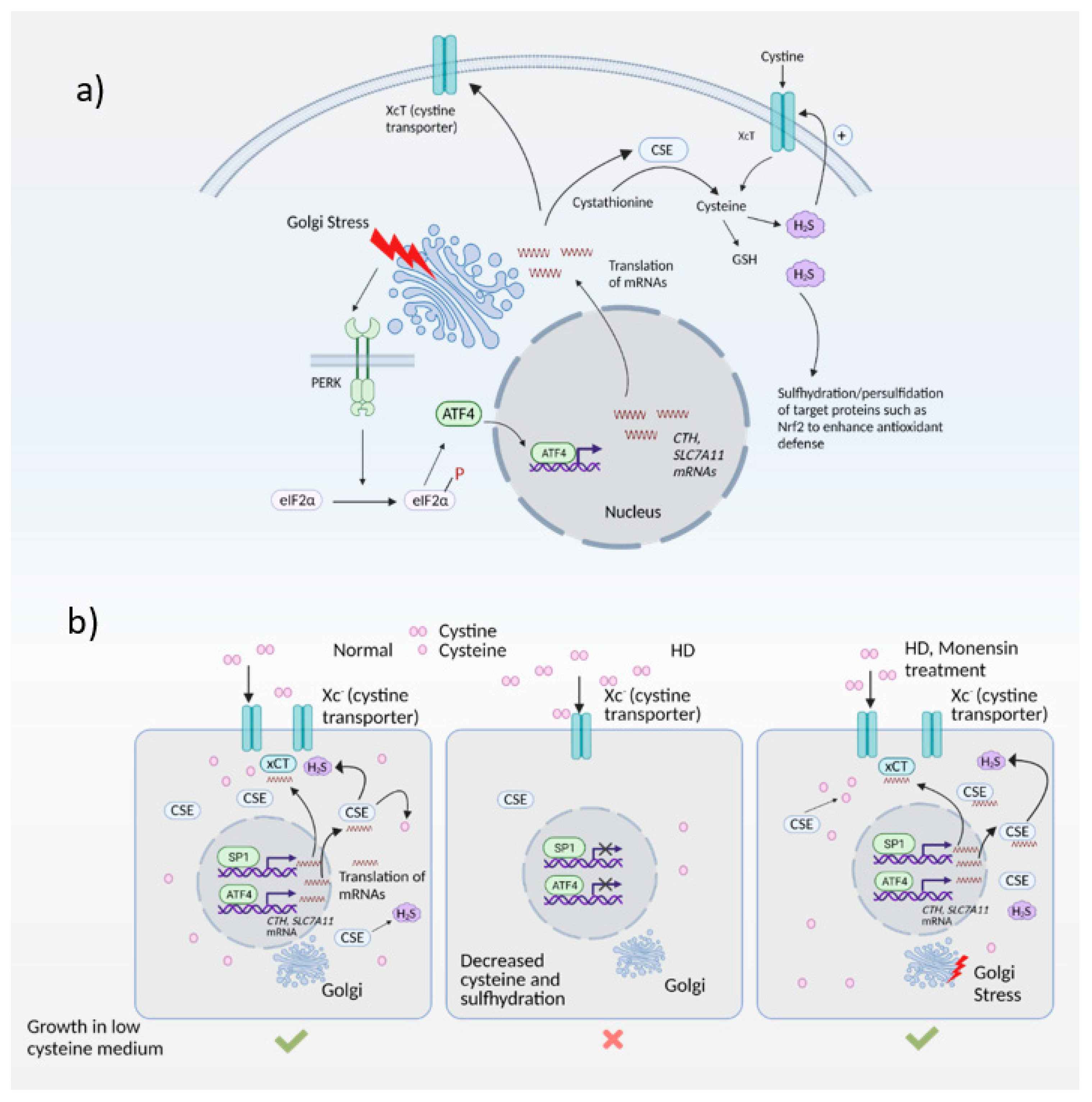 Antioxidants 10 01468 g004