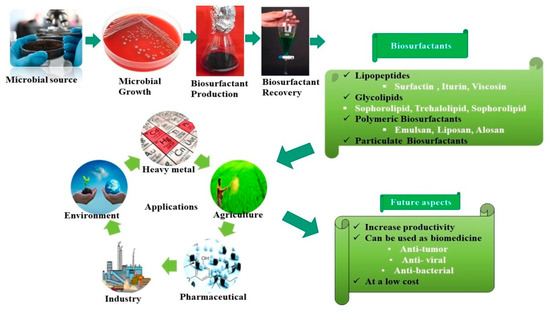 Antioxidants Free Full Text Microbial Biosurfactant A New Frontier For Sustainable Agriculture And Pharmaceutical Industries Html