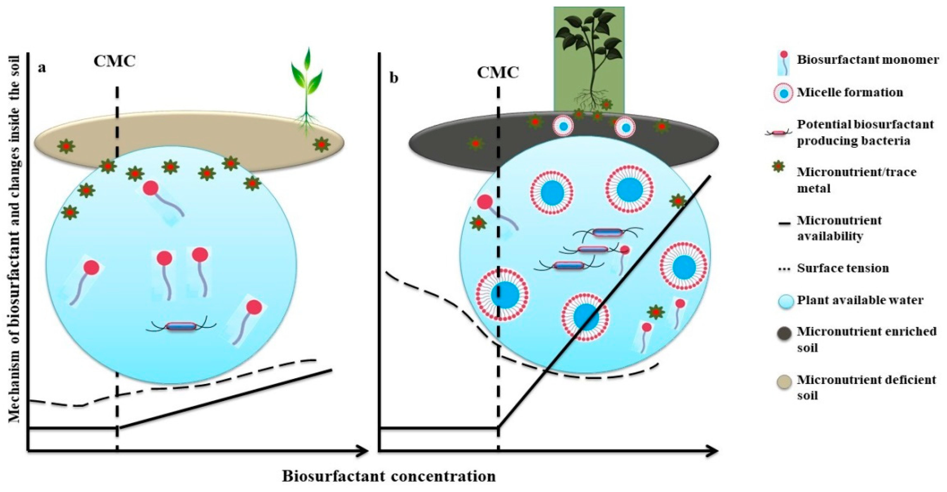 Antioxidants Free Full Text Microbial Biosurfactant A New Frontier For Sustainable Agriculture And Pharmaceutical Industries Html