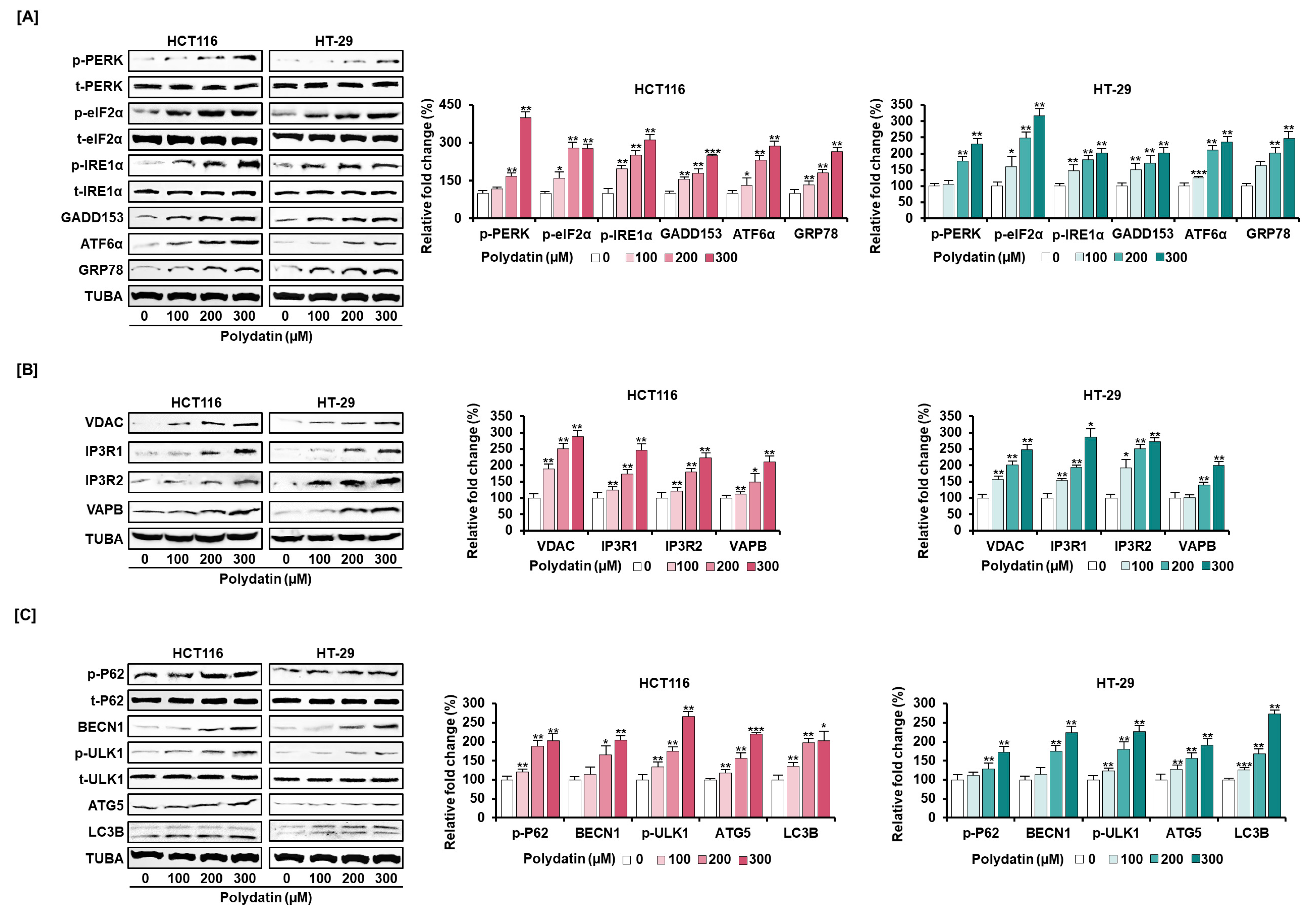 Antioxidants 10 01477 g005