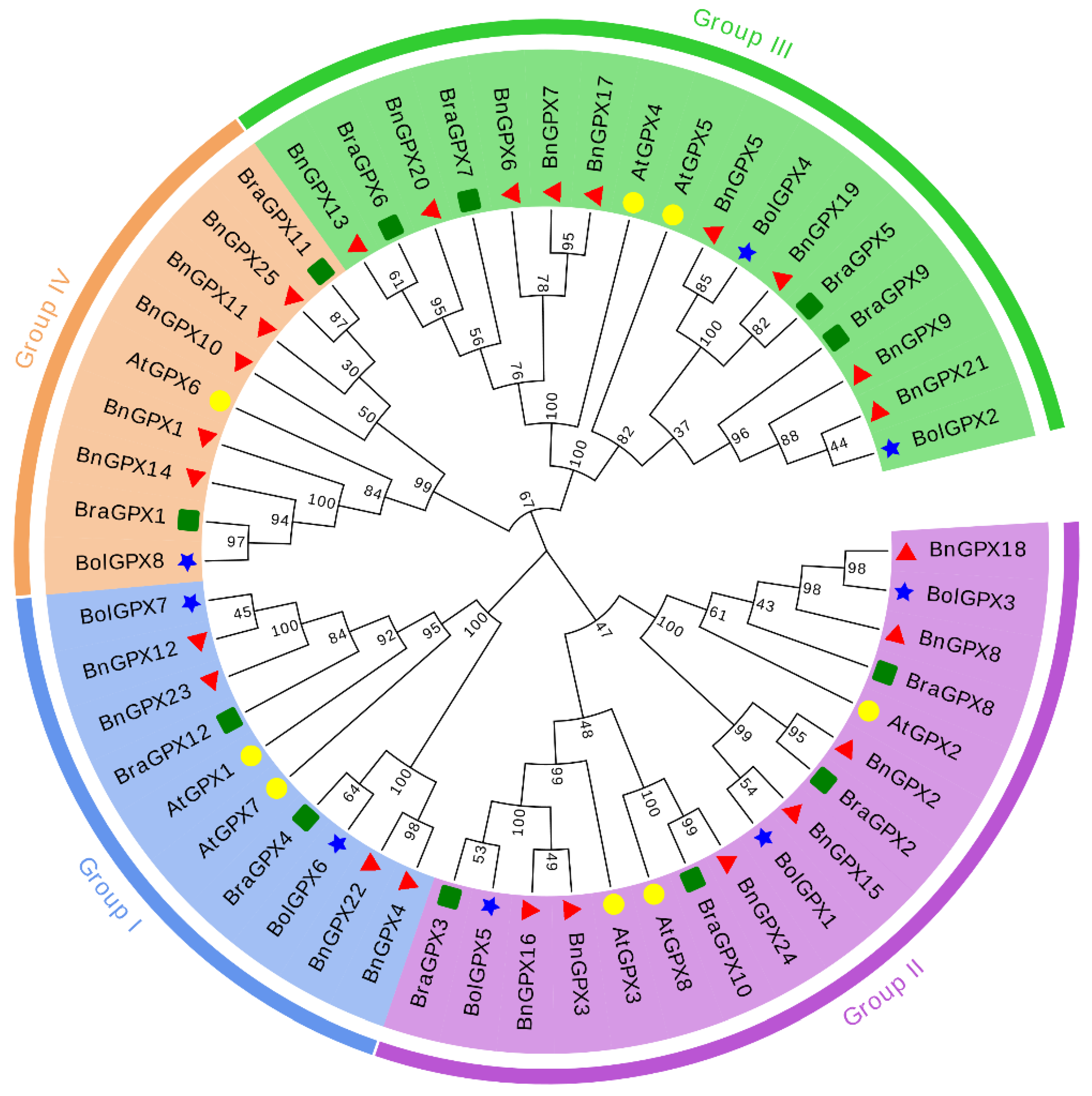 Antioxidants 10 01481 g001 550
