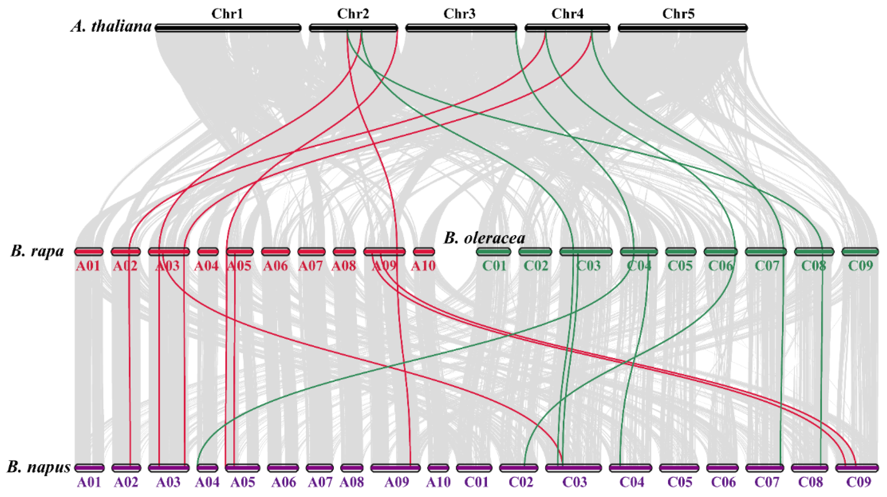 Antioxidants 10 01481 g003 550