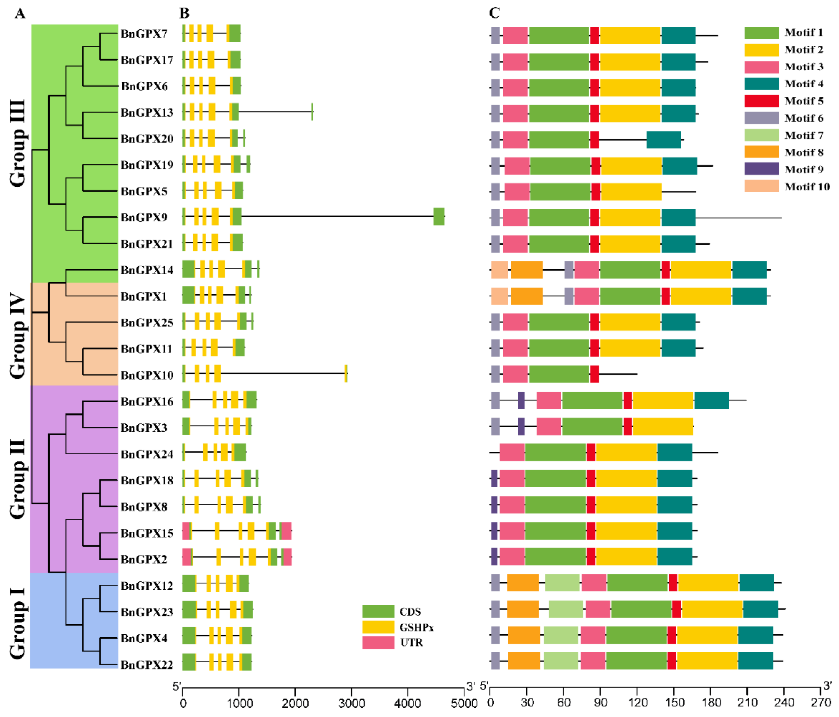 Antioxidants 10 01481 g004 550