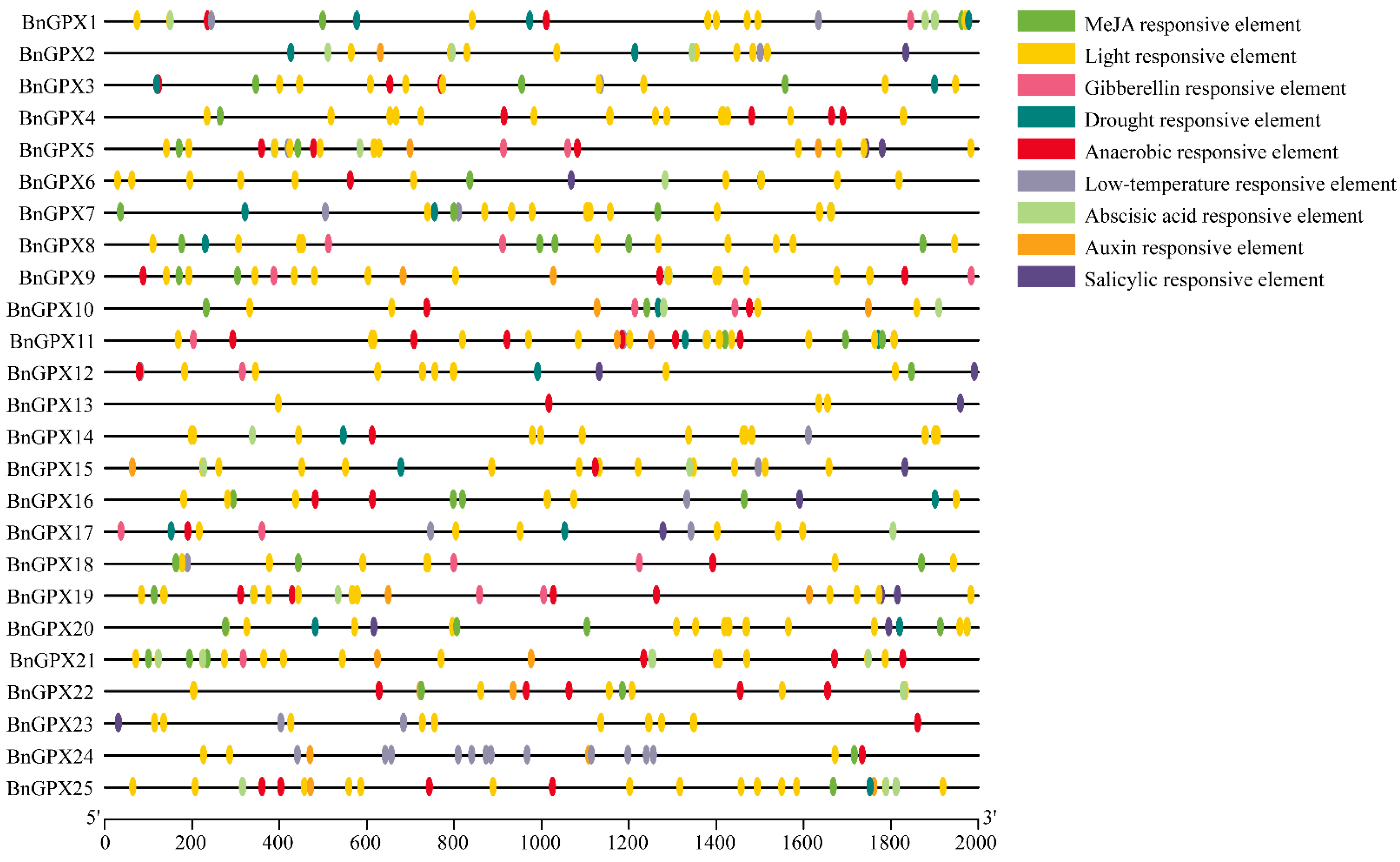Antioxidants 10 01481 g005 550