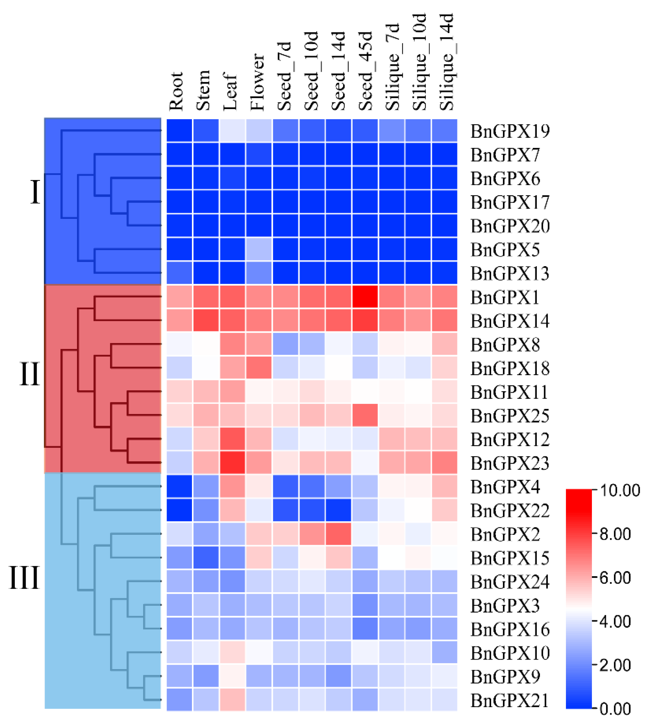 Antioxidants 10 01481 g007 550