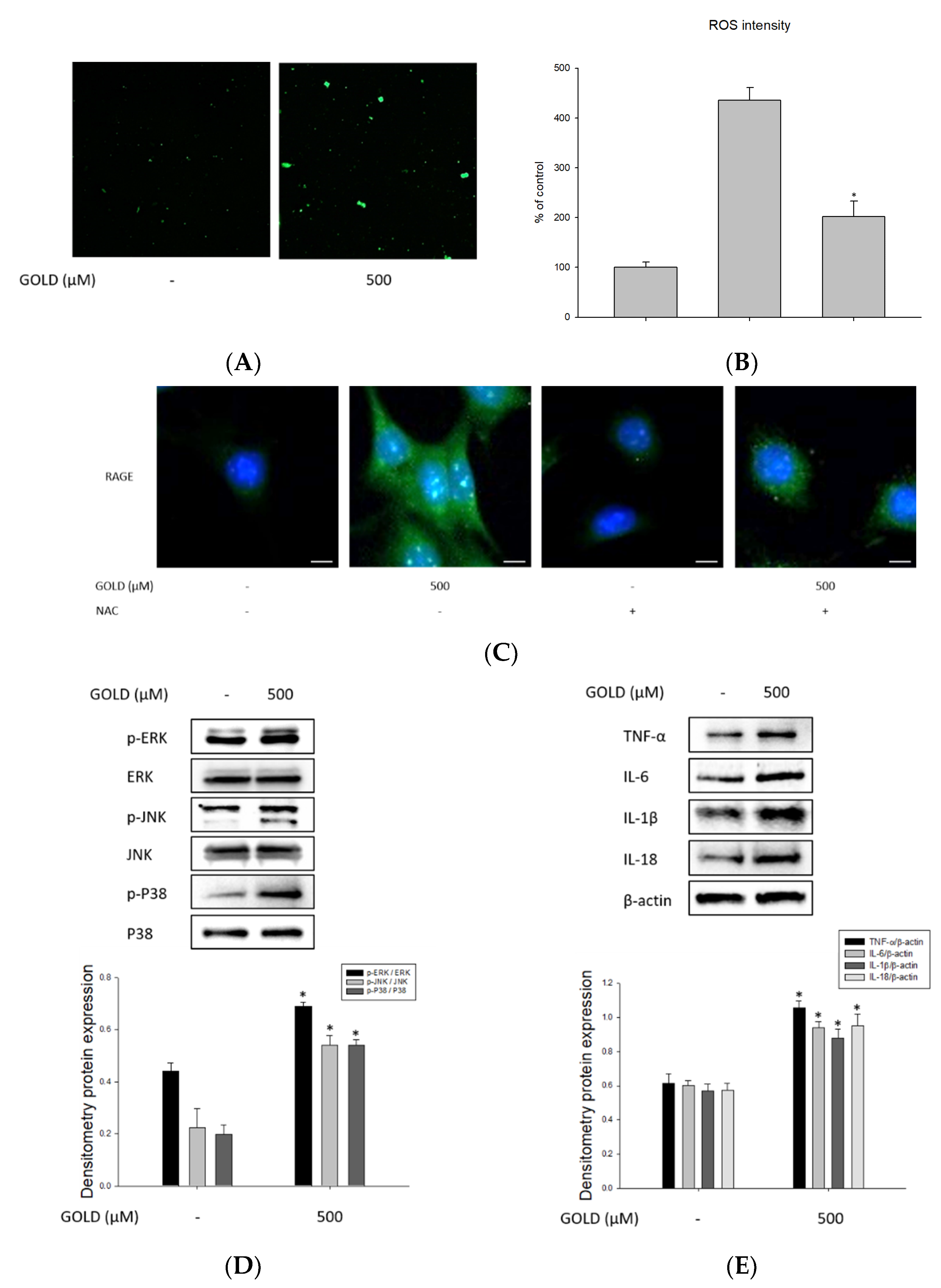Antioxidants 10 01486 g003a