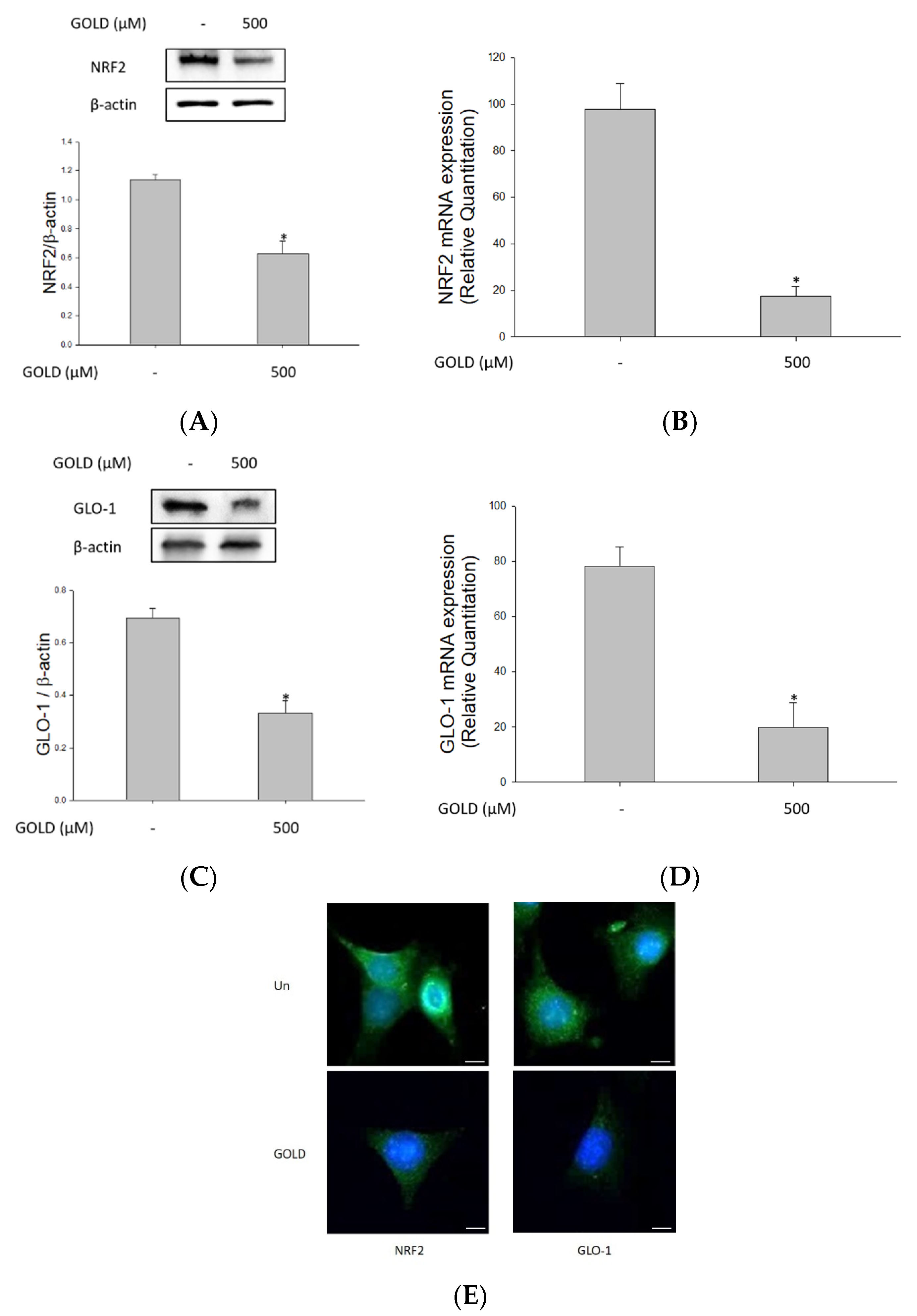 Antioxidants 10 01486 g004