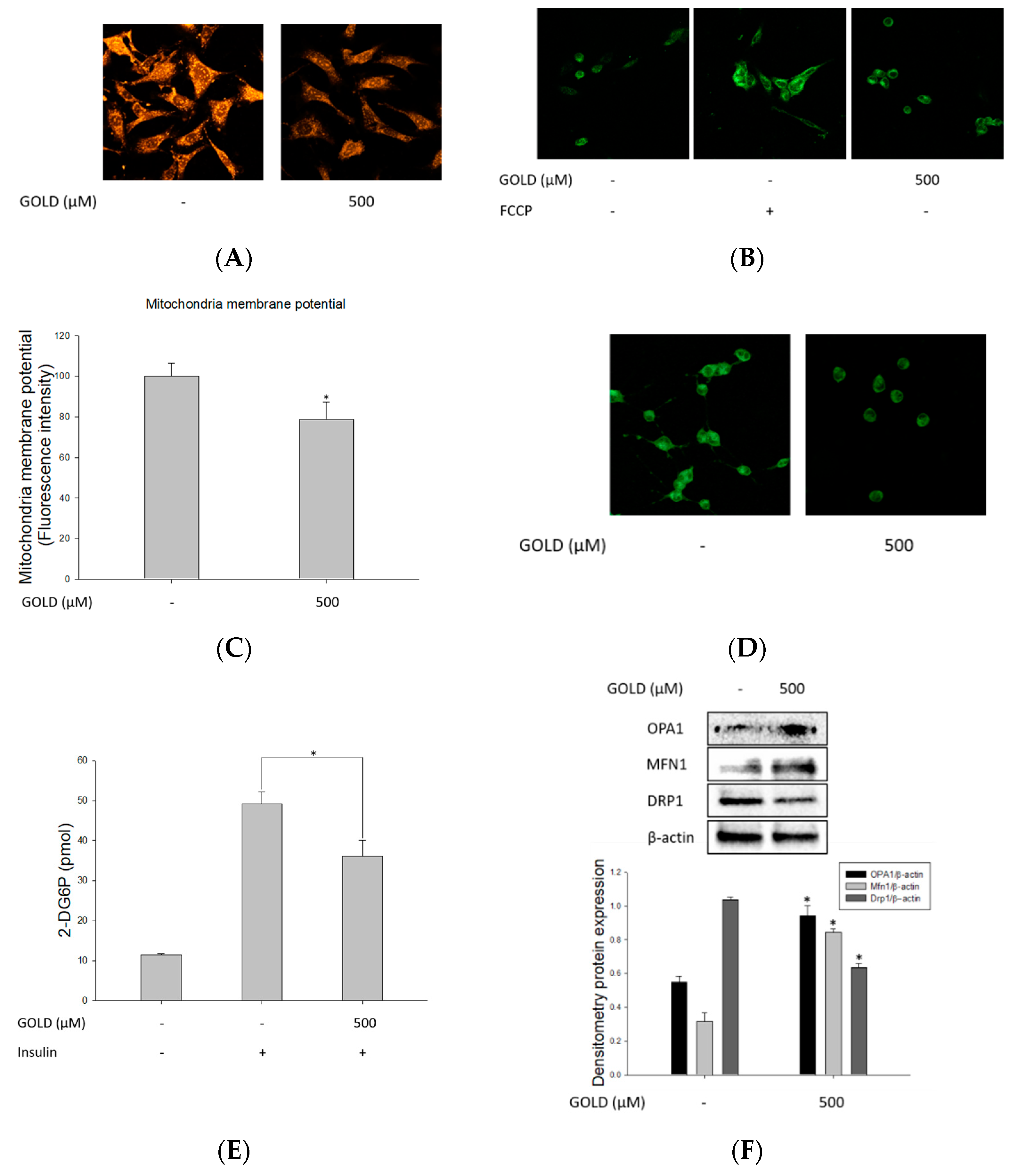 Antioxidants 10 01486 g005a