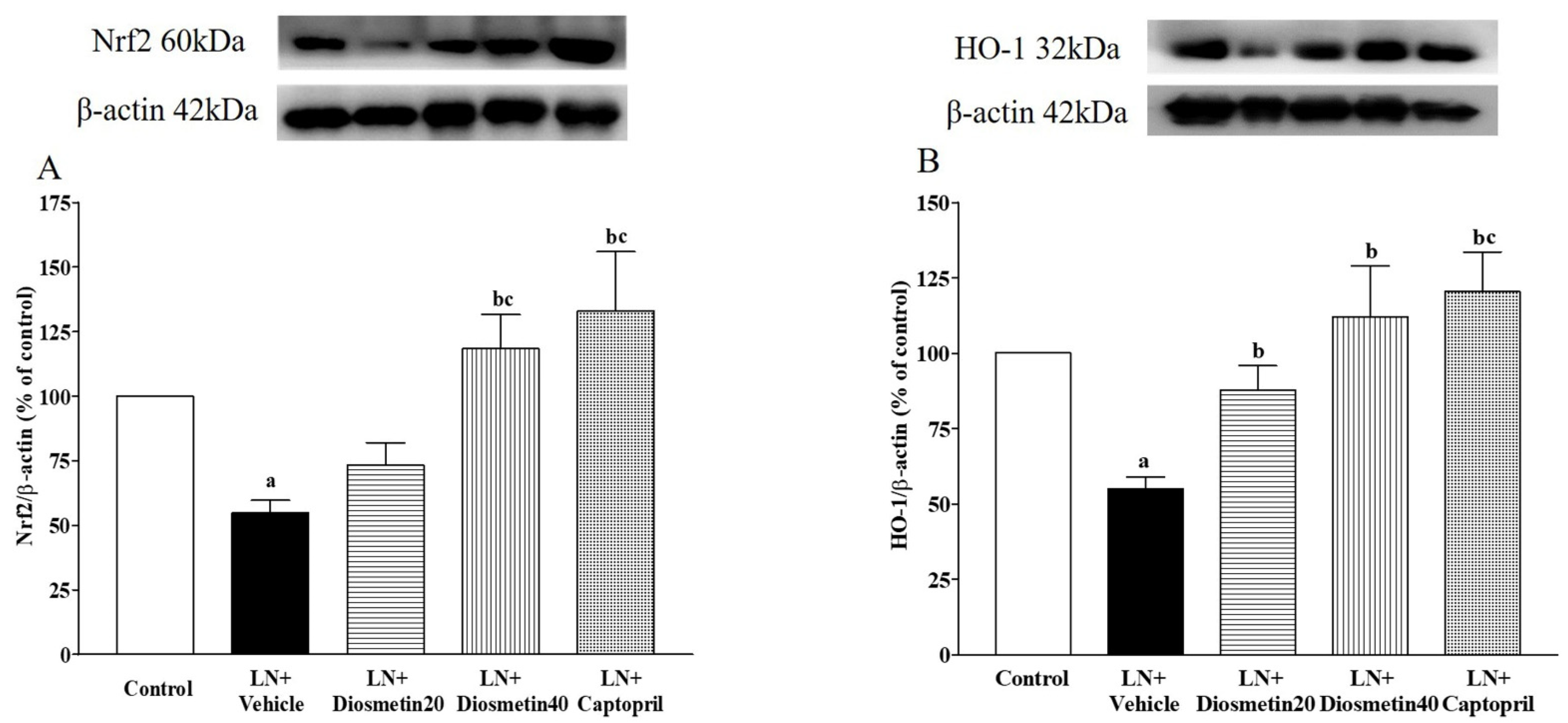 Antioxidants 10 01487 g006