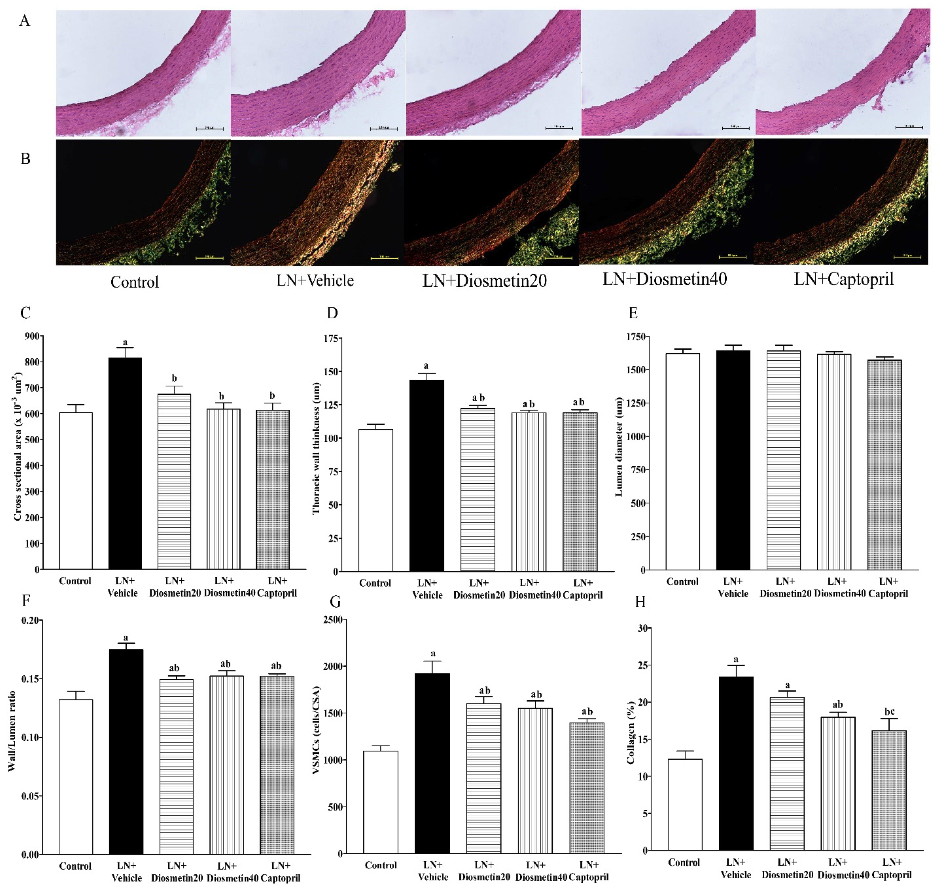 Antioxidants 10 01487 g007