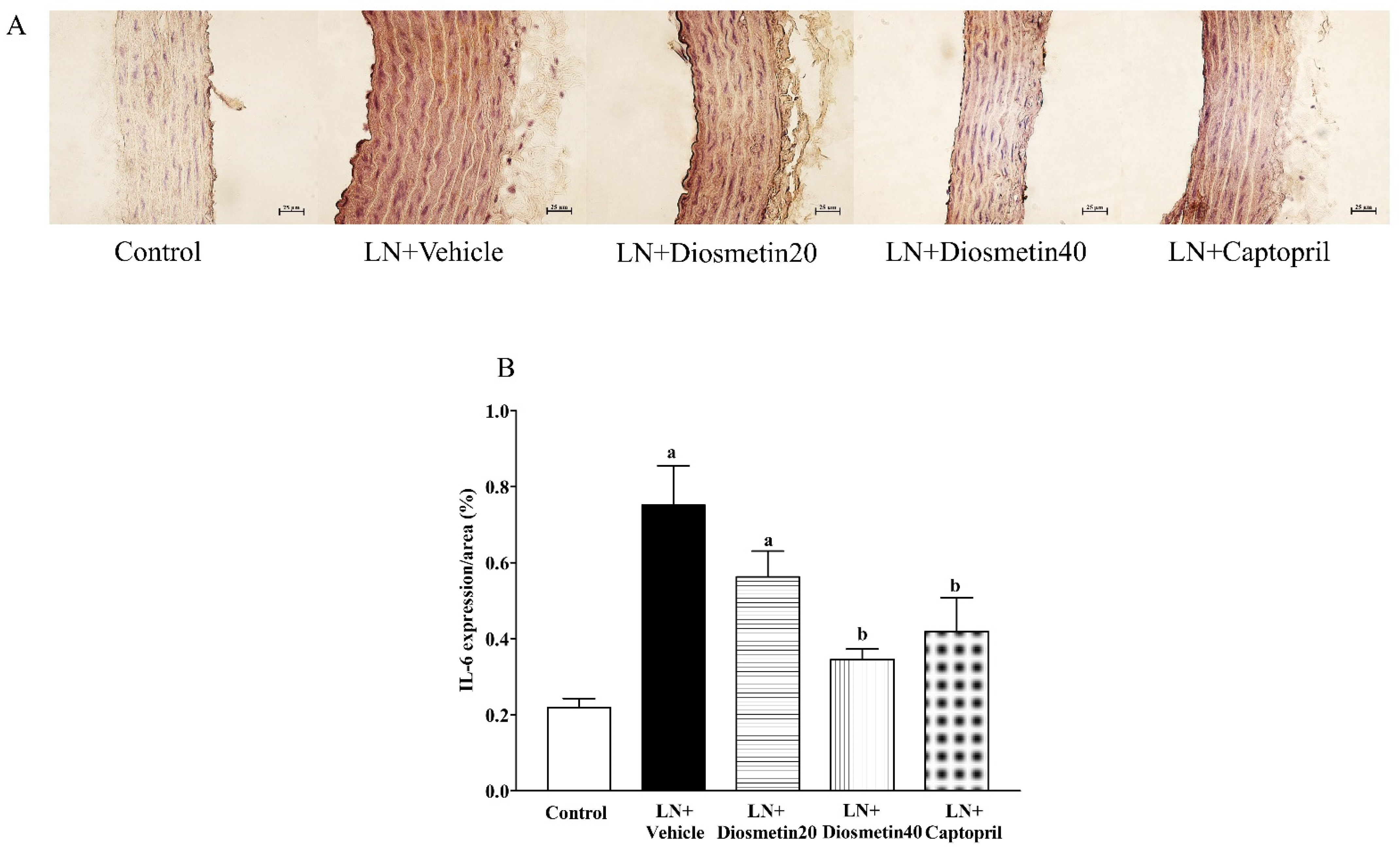 Antioxidants 10 01487 g008