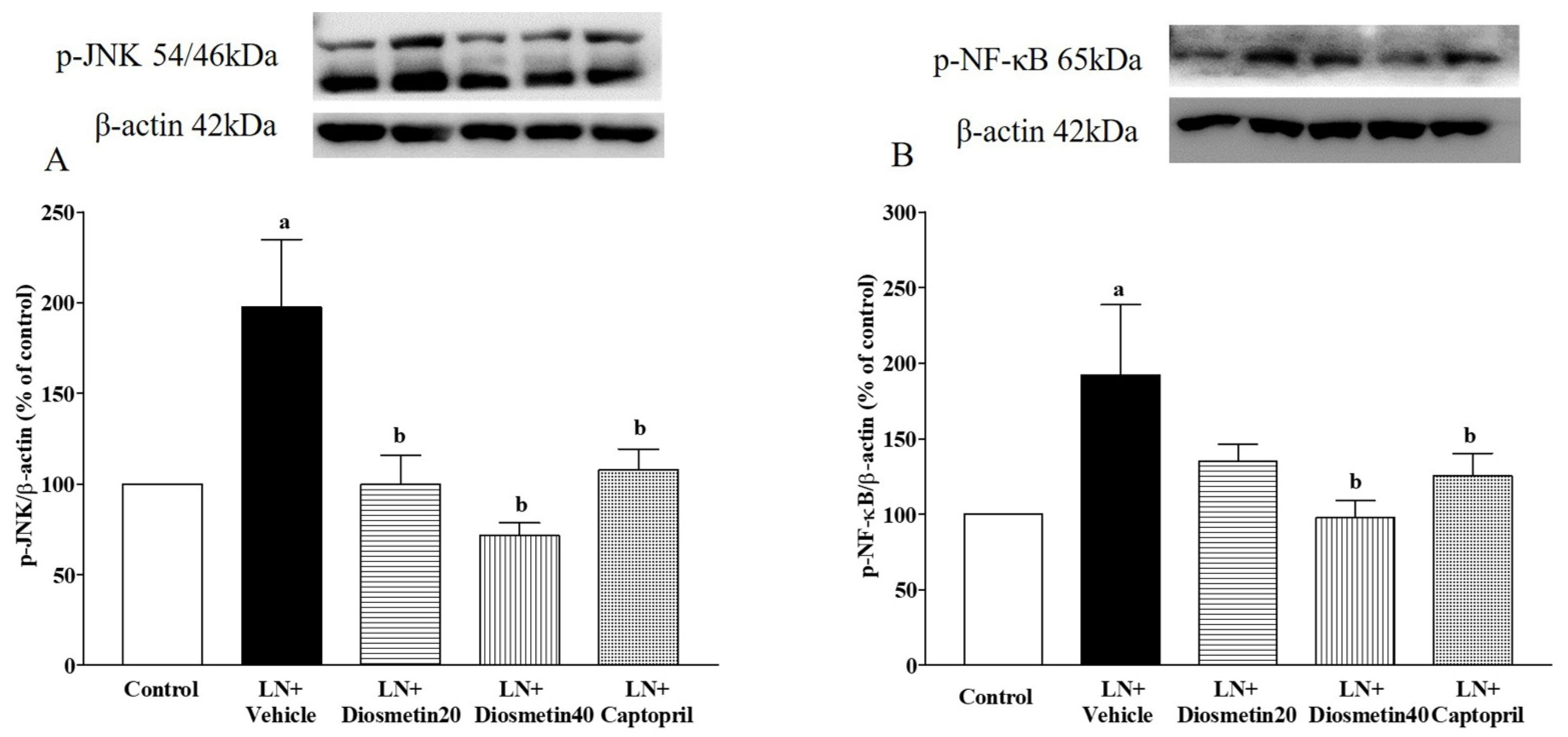 Antioxidants 10 01487 g009