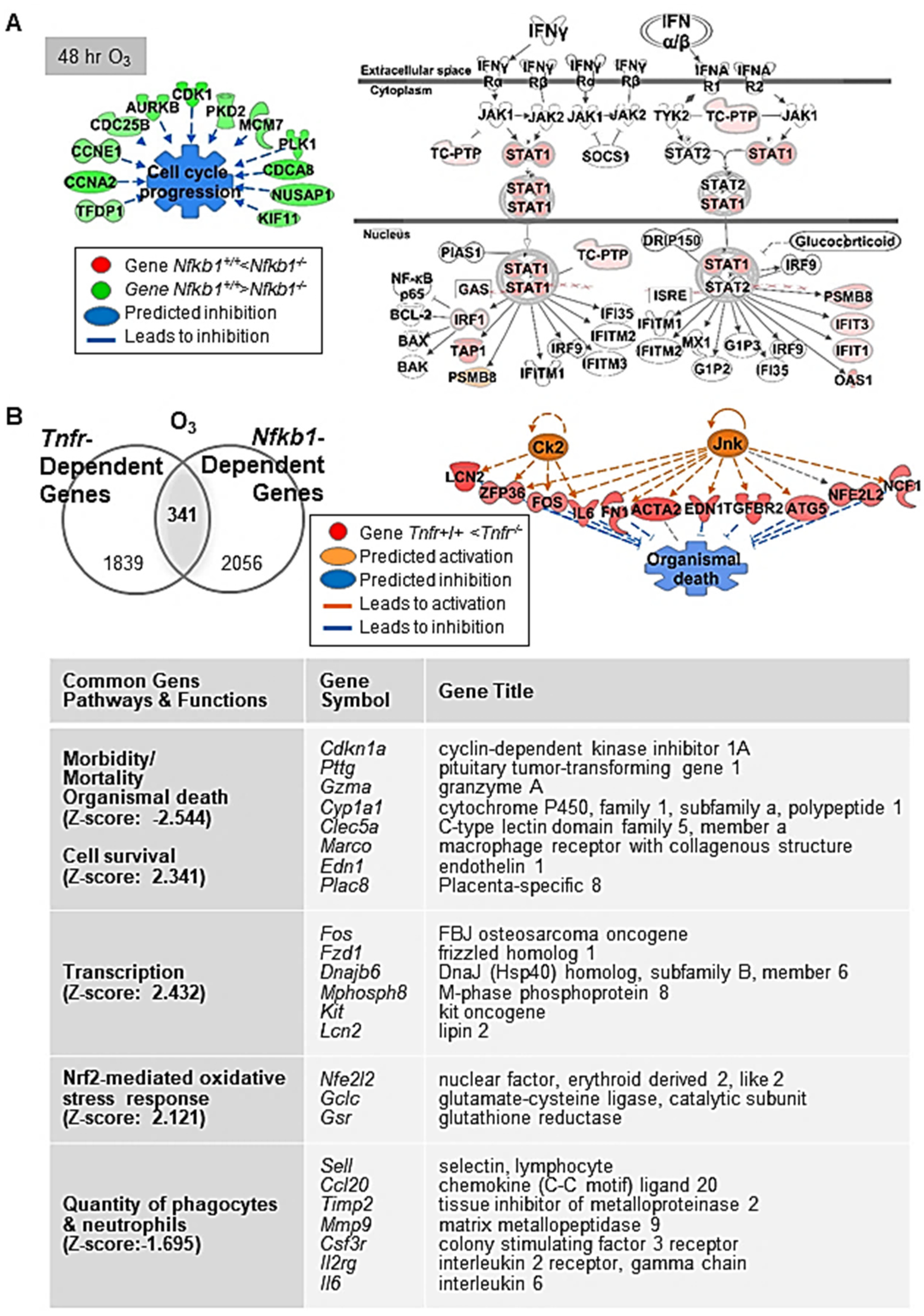 Antioxidants 10 01489 g003
