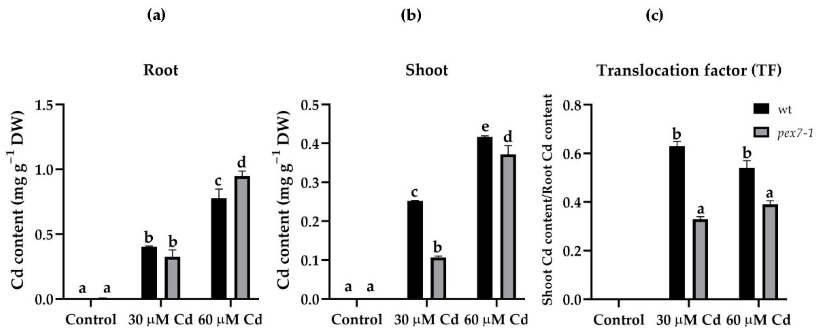 Antioxidants 10 01494 g001 Antioxidants 10 01494 g001