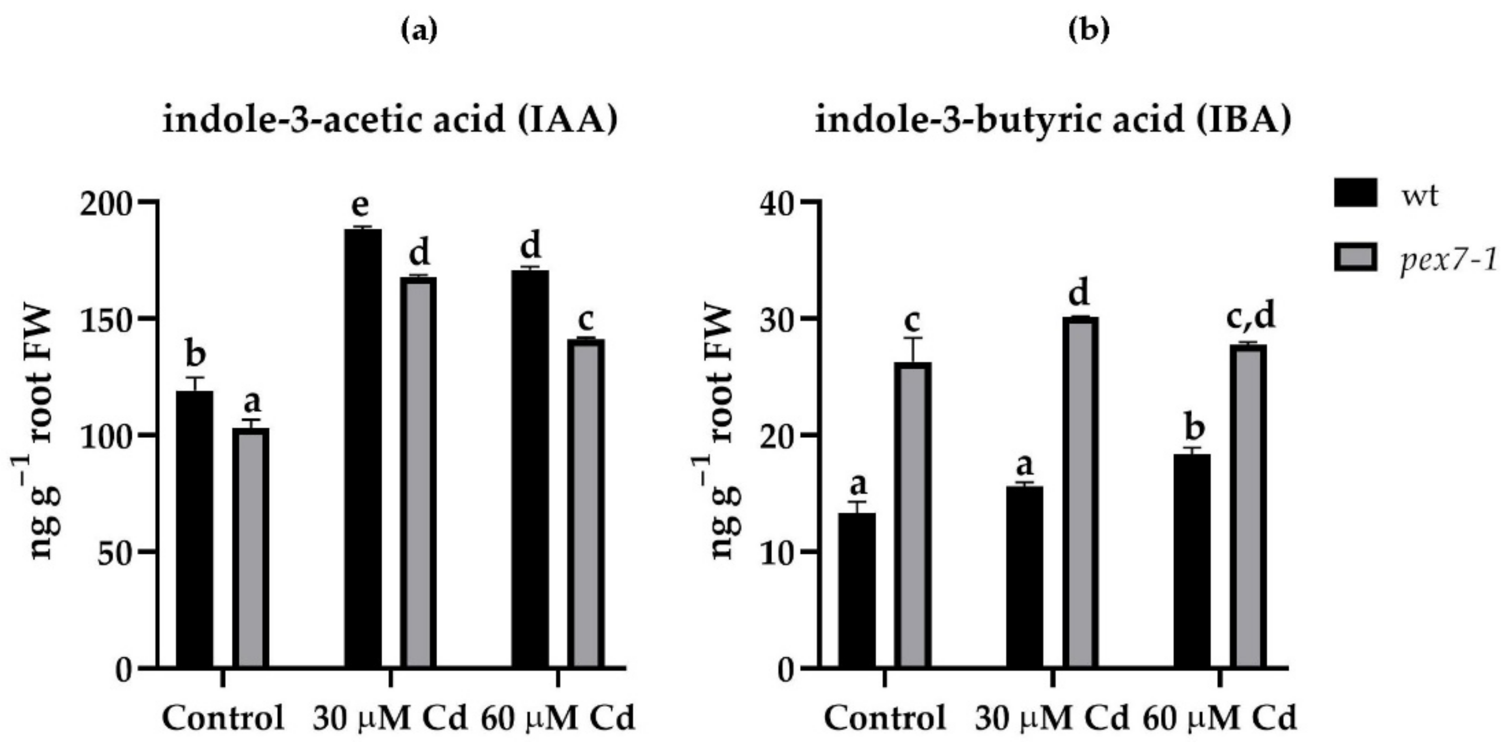 Antioxidants 10 01494 g003 Antioxidants 10 01494 g003