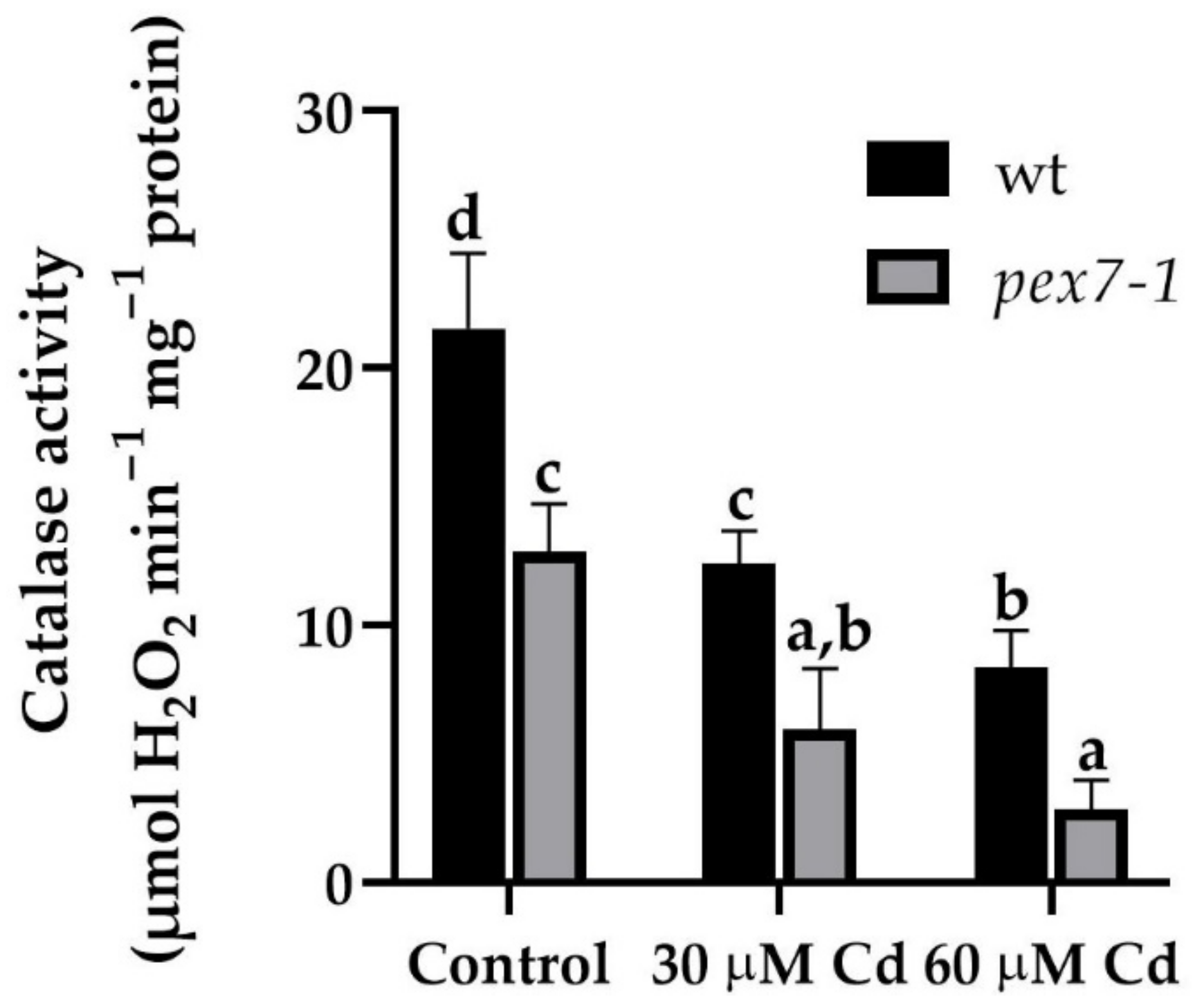 Antioxidants 10 01494 g010 Antioxidants 10 01494 g010