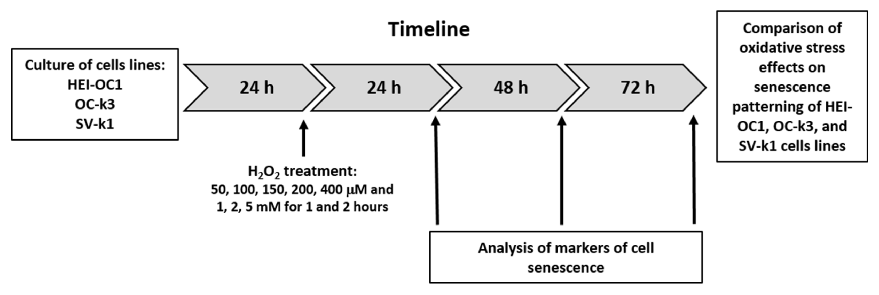 Antioxidants 10 01497 g001