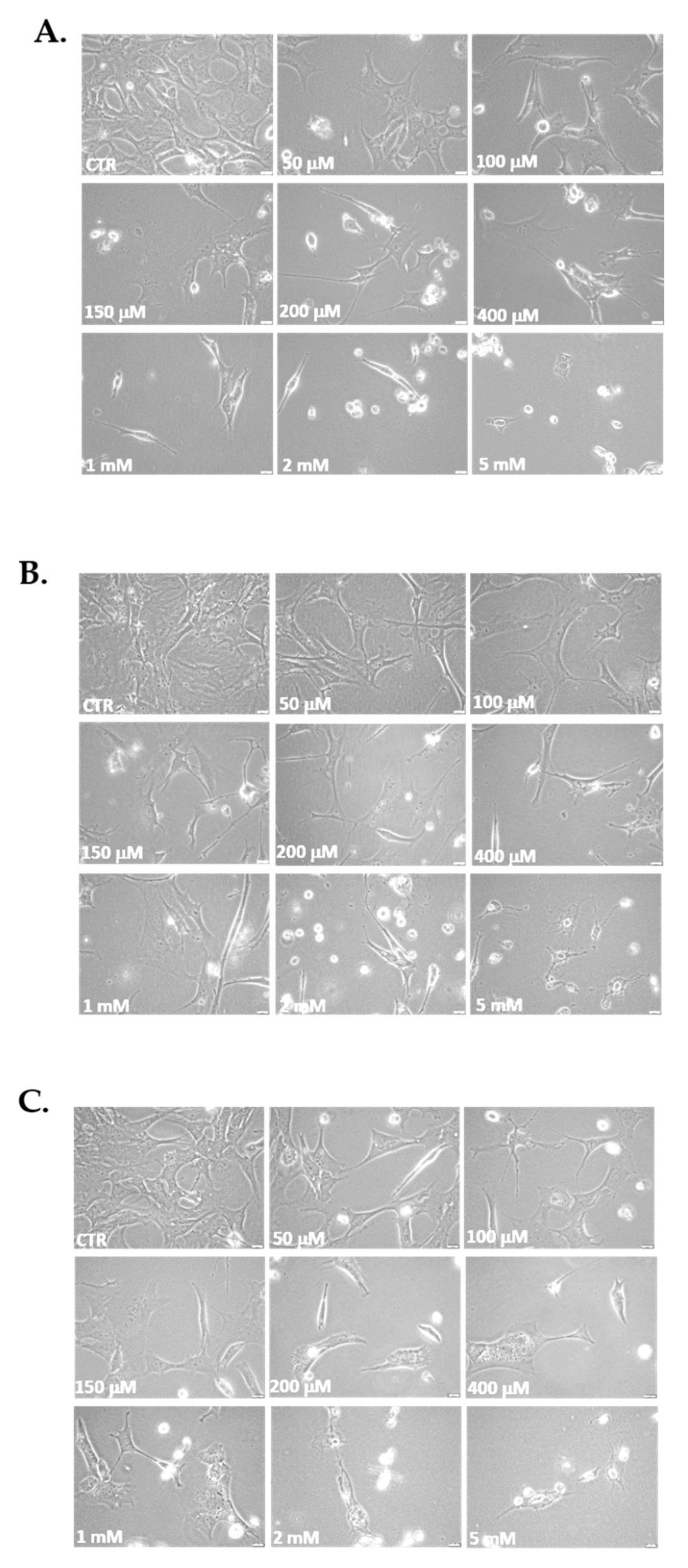 Antioxidants 10 01497 g003