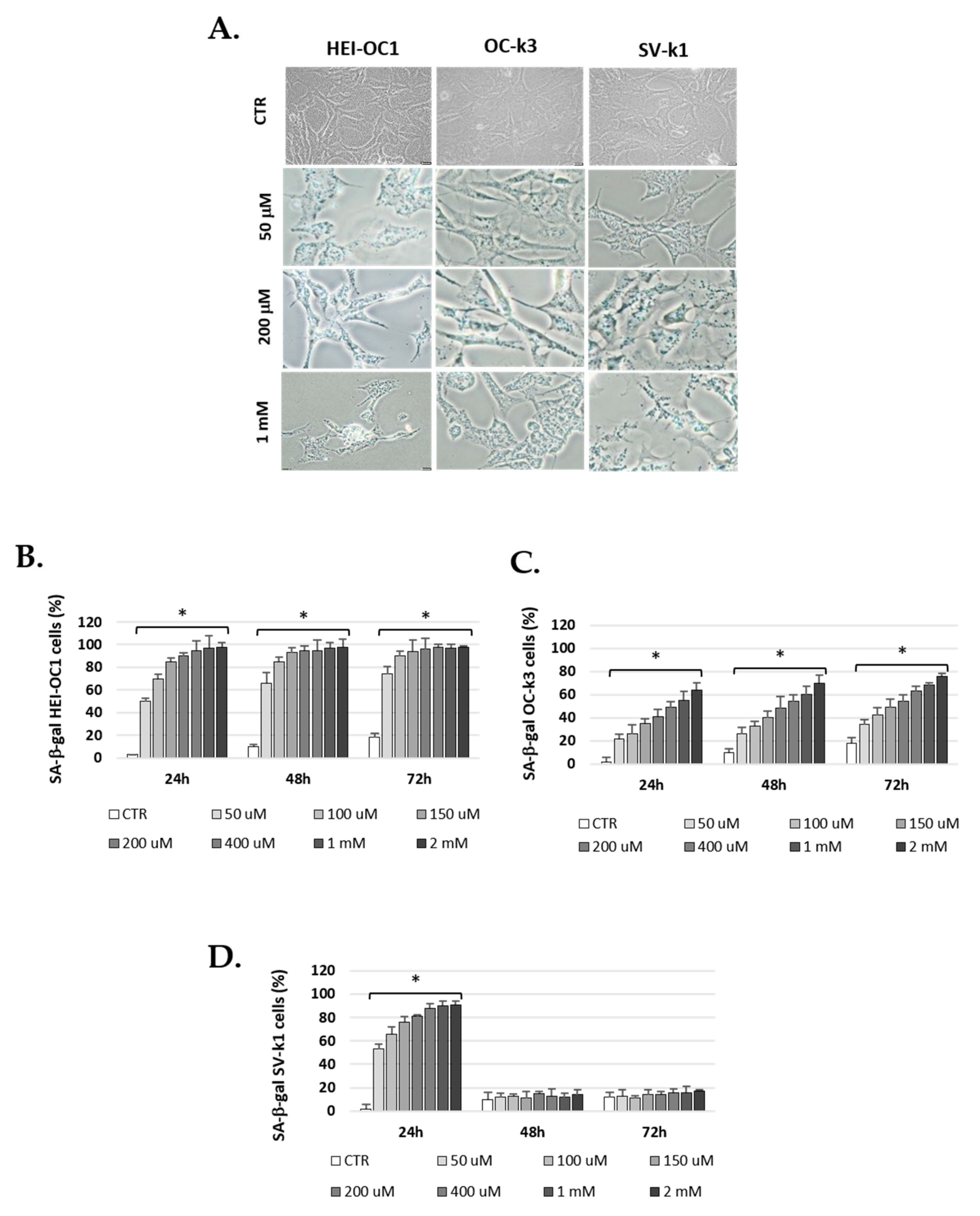 Antioxidants 10 01497 g004