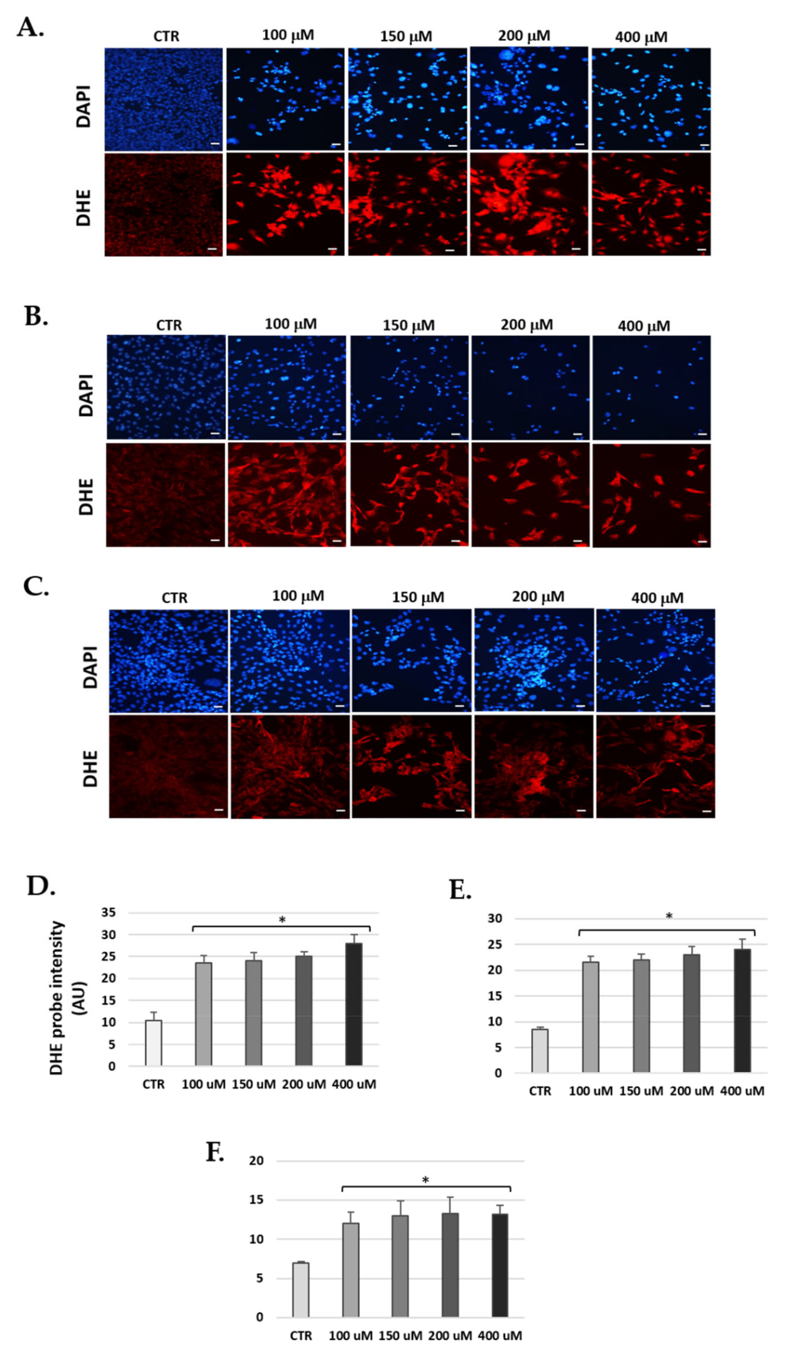 Antioxidants 10 01497 g009