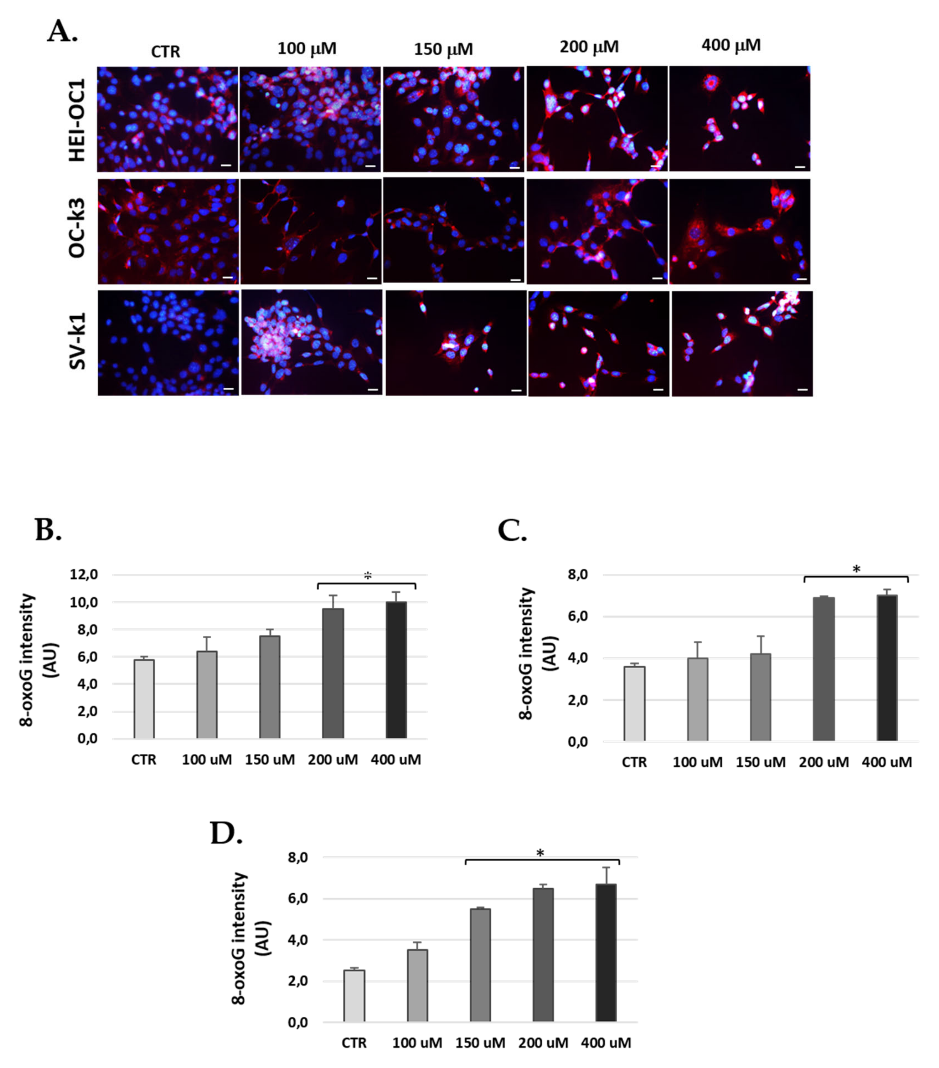 Antioxidants 10 01497 g010