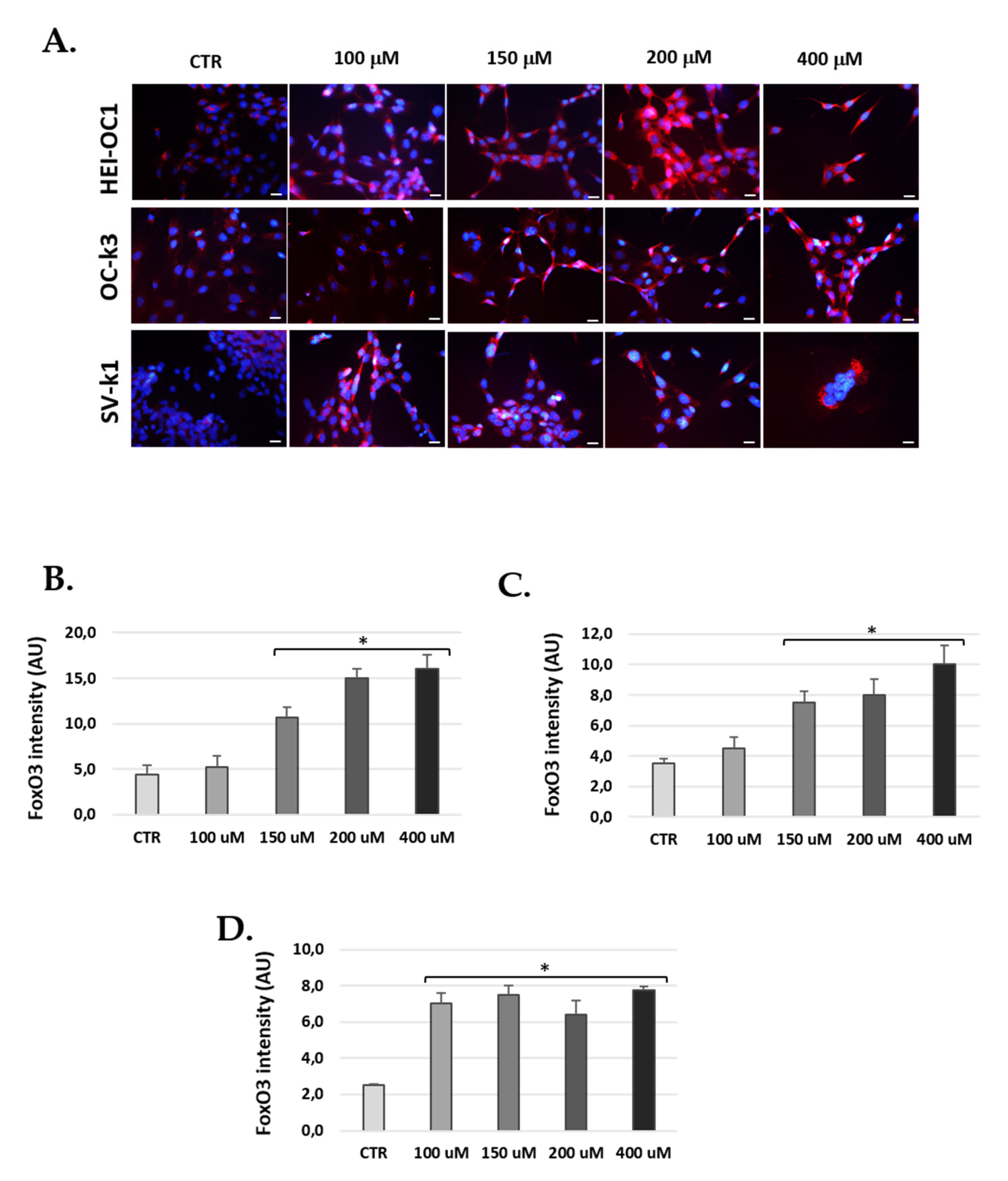 Antioxidants 10 01497 g011