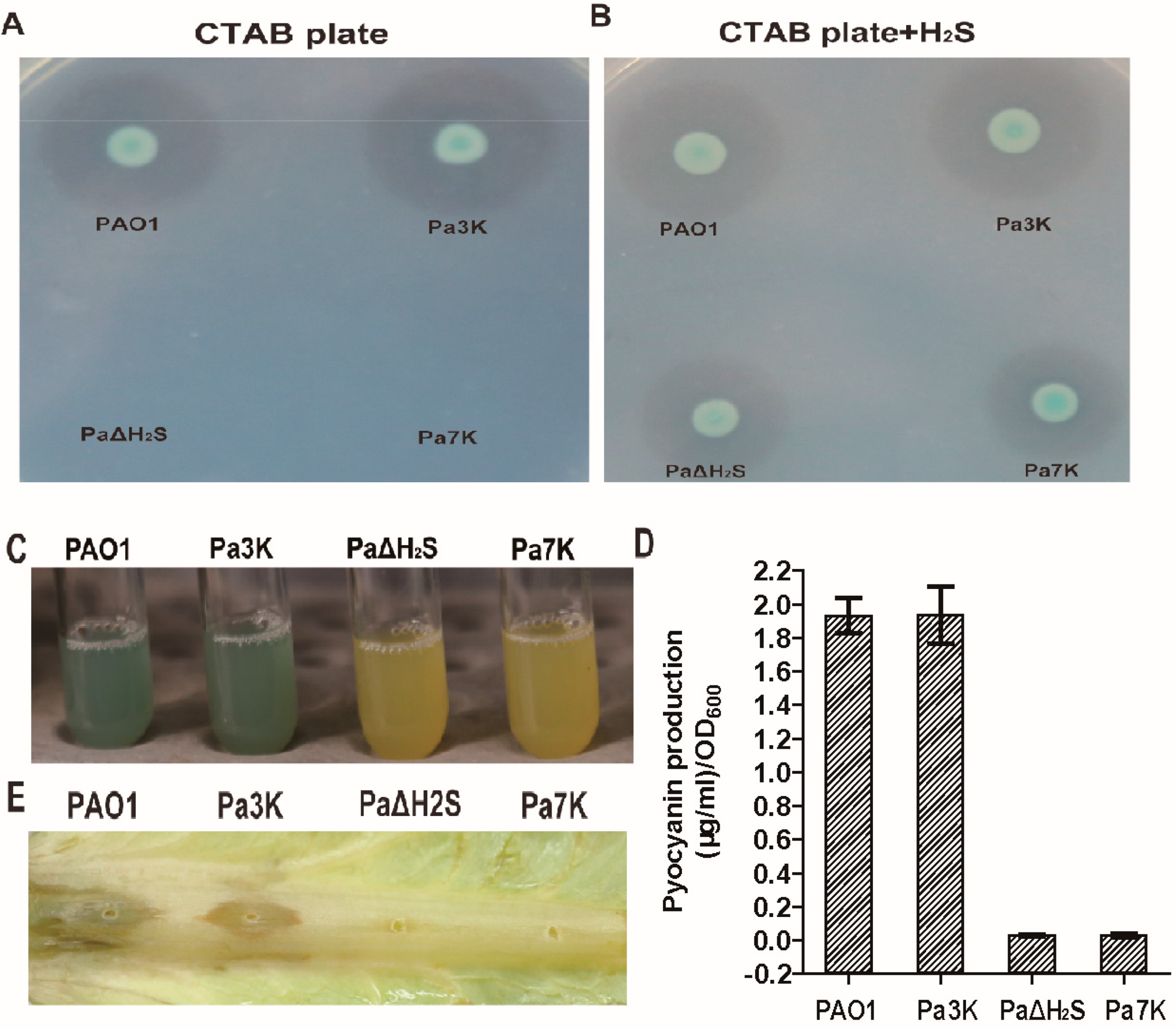Antioxidants 10 01498 g002