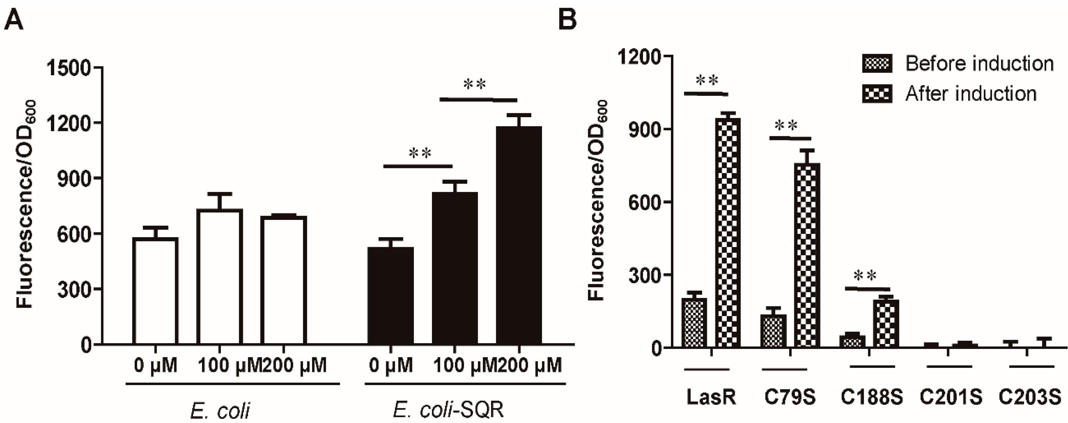 Antioxidants 10 01498 g003