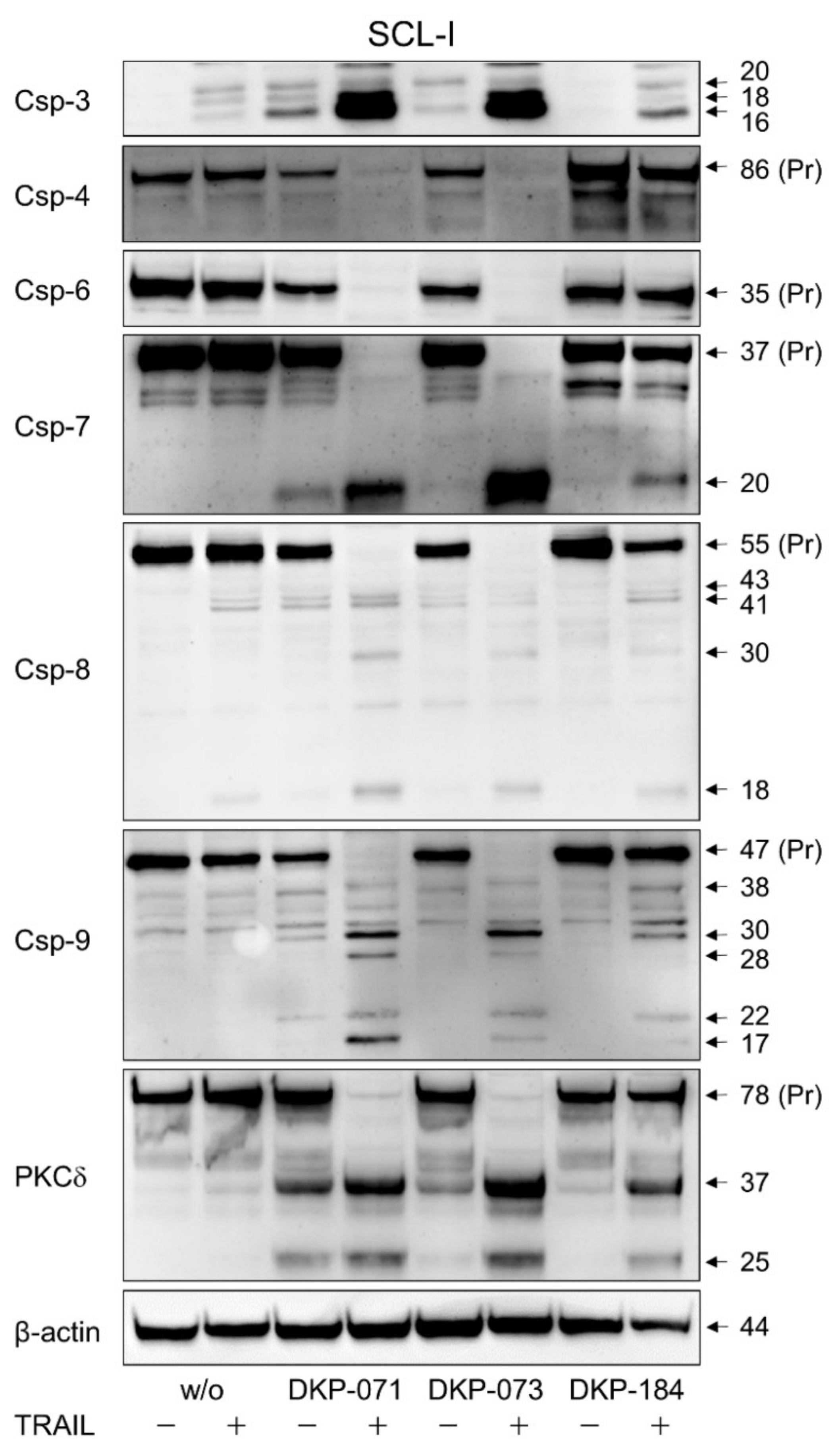 Antioxidants 10 01514 g004