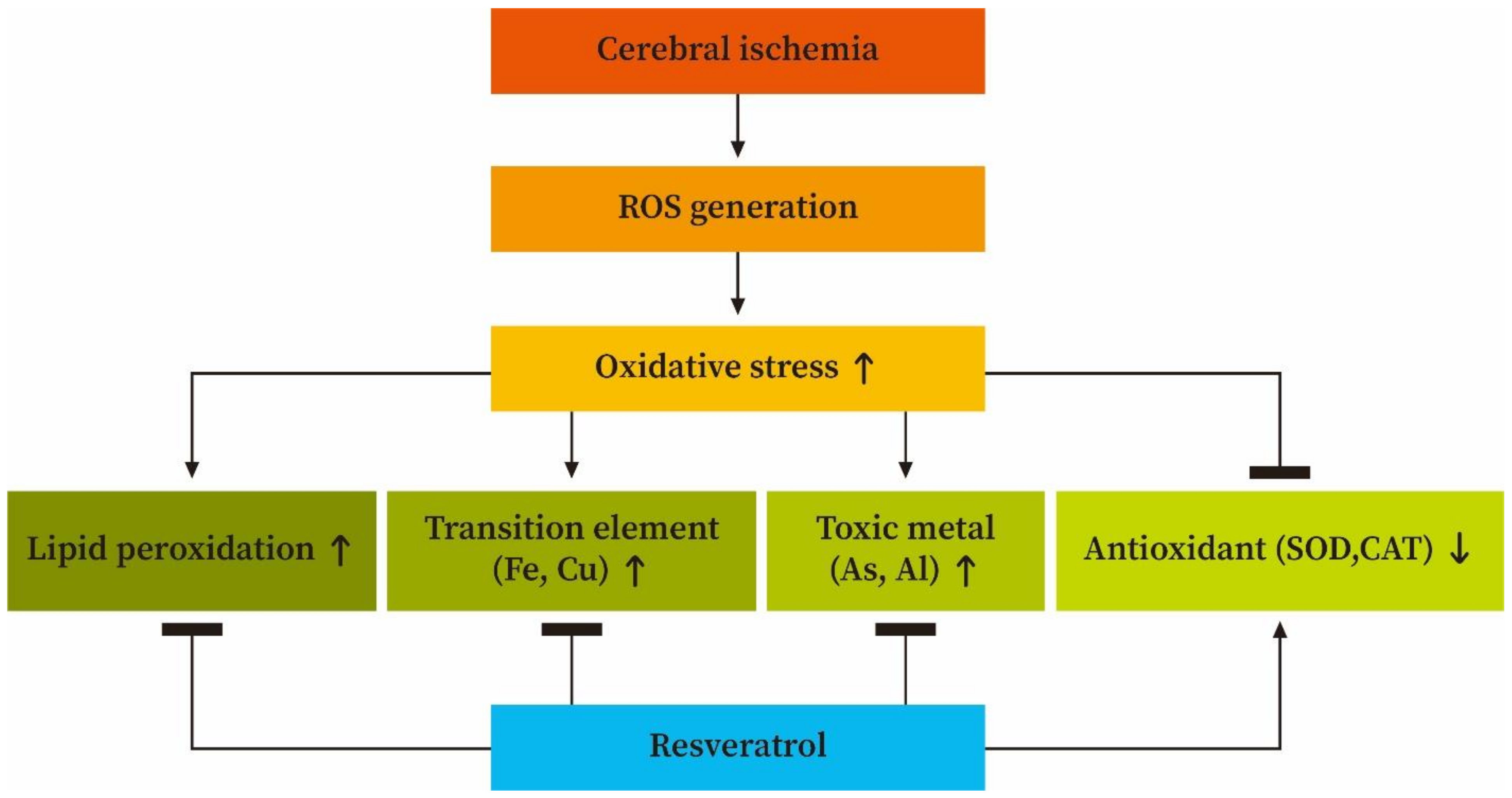 Antioxidants 10 01515 g008