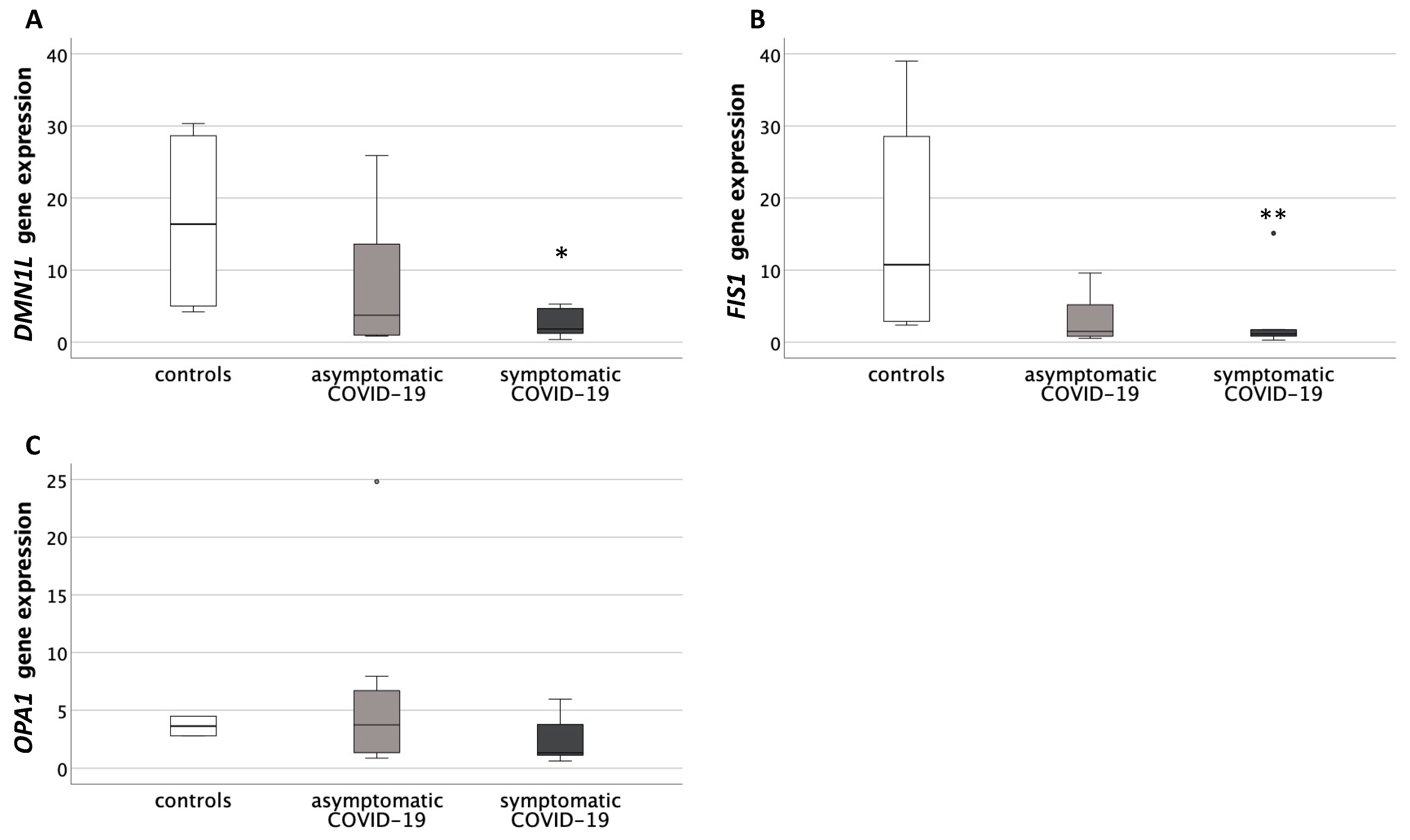 Antioxidants 10 01517 g004 Antioxidants 10 01517 g004
