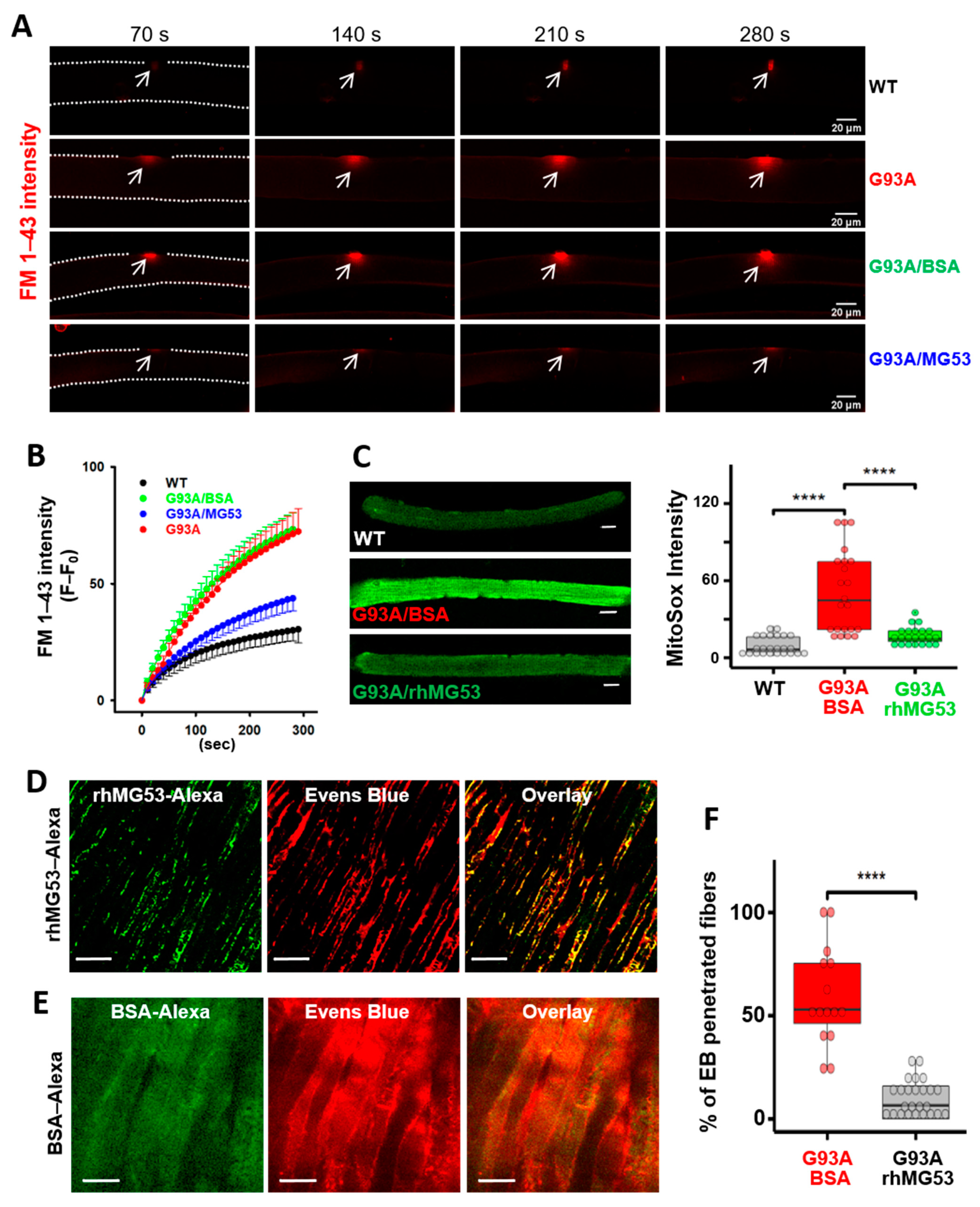 Antioxidants 10 01522 g006