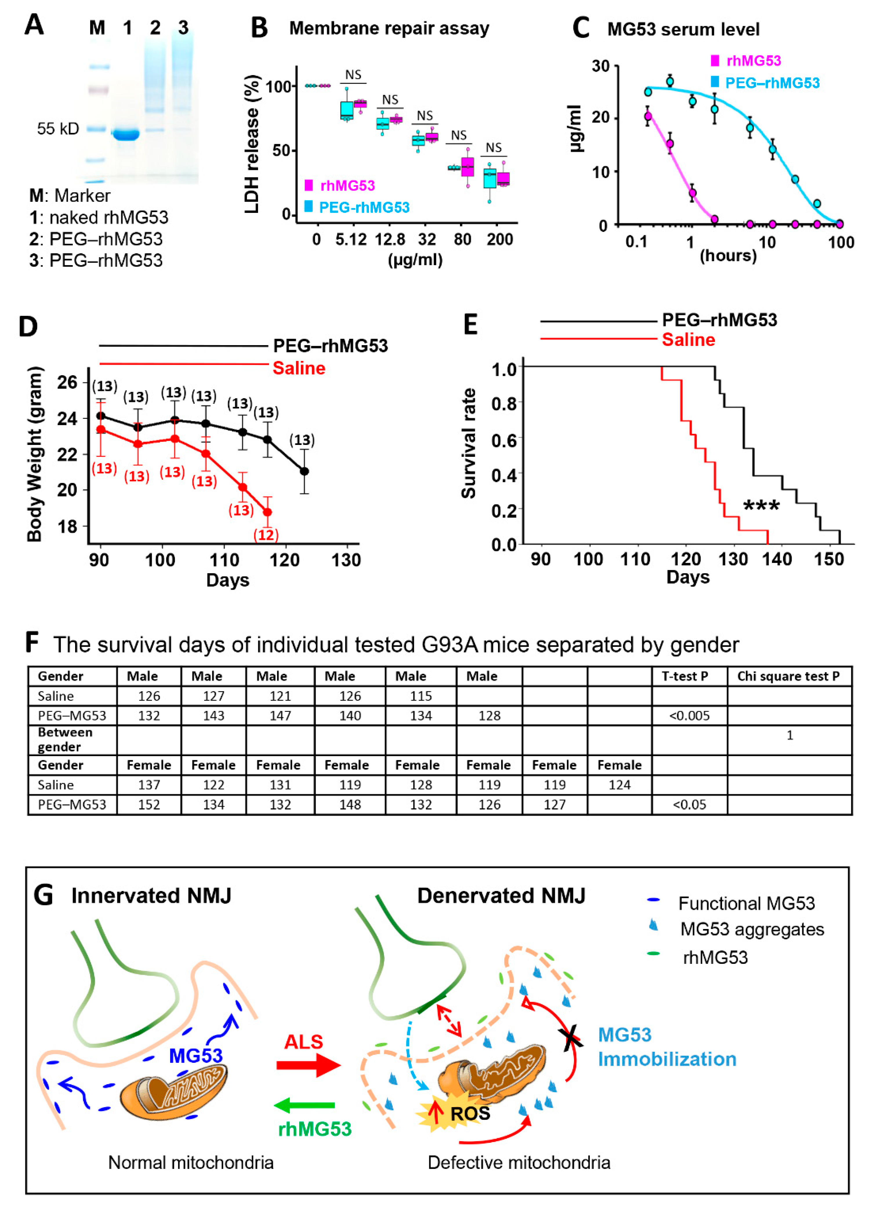 Antioxidants 10 01522 g008