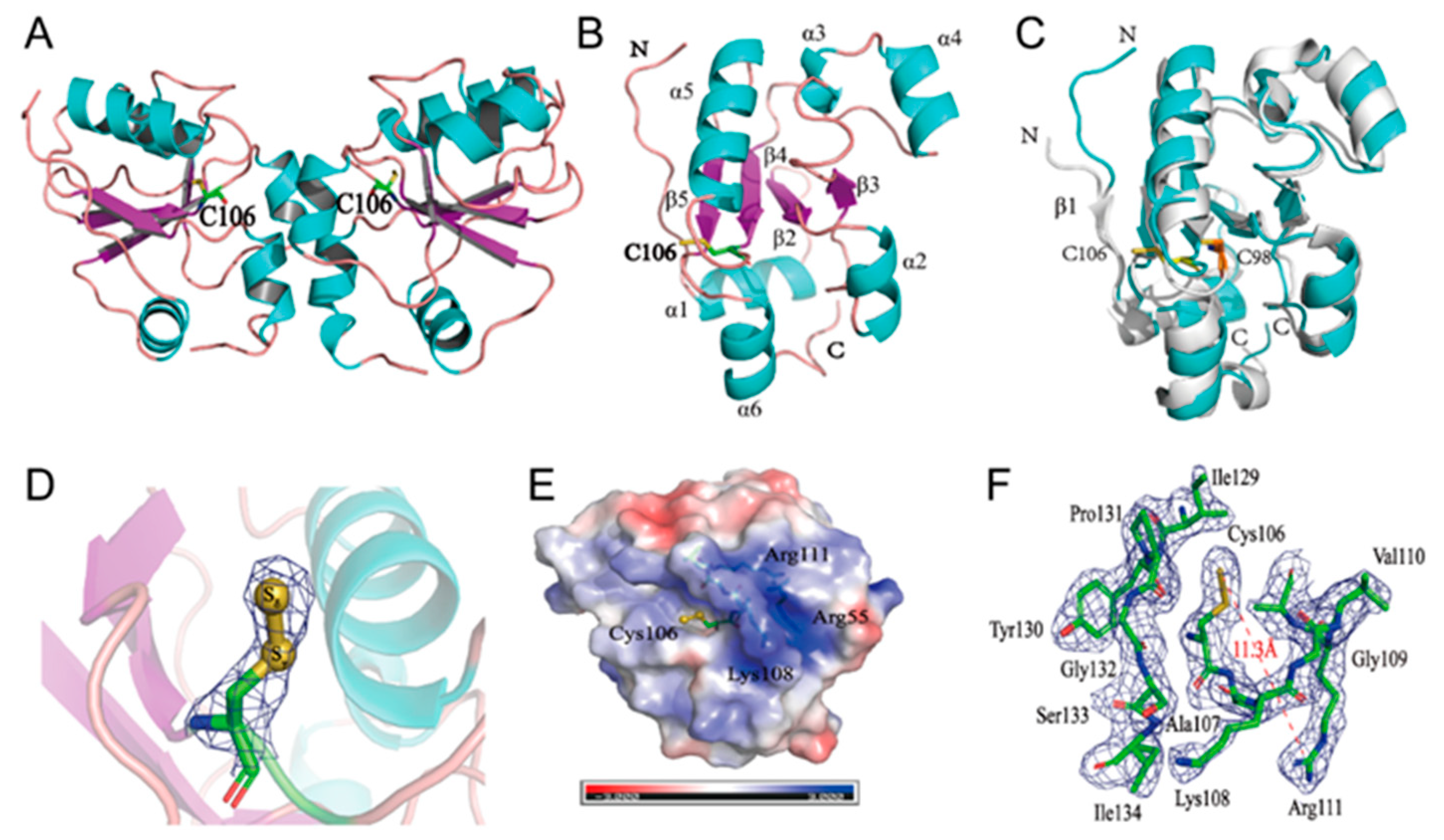 Antioxidants 10 01525 g001