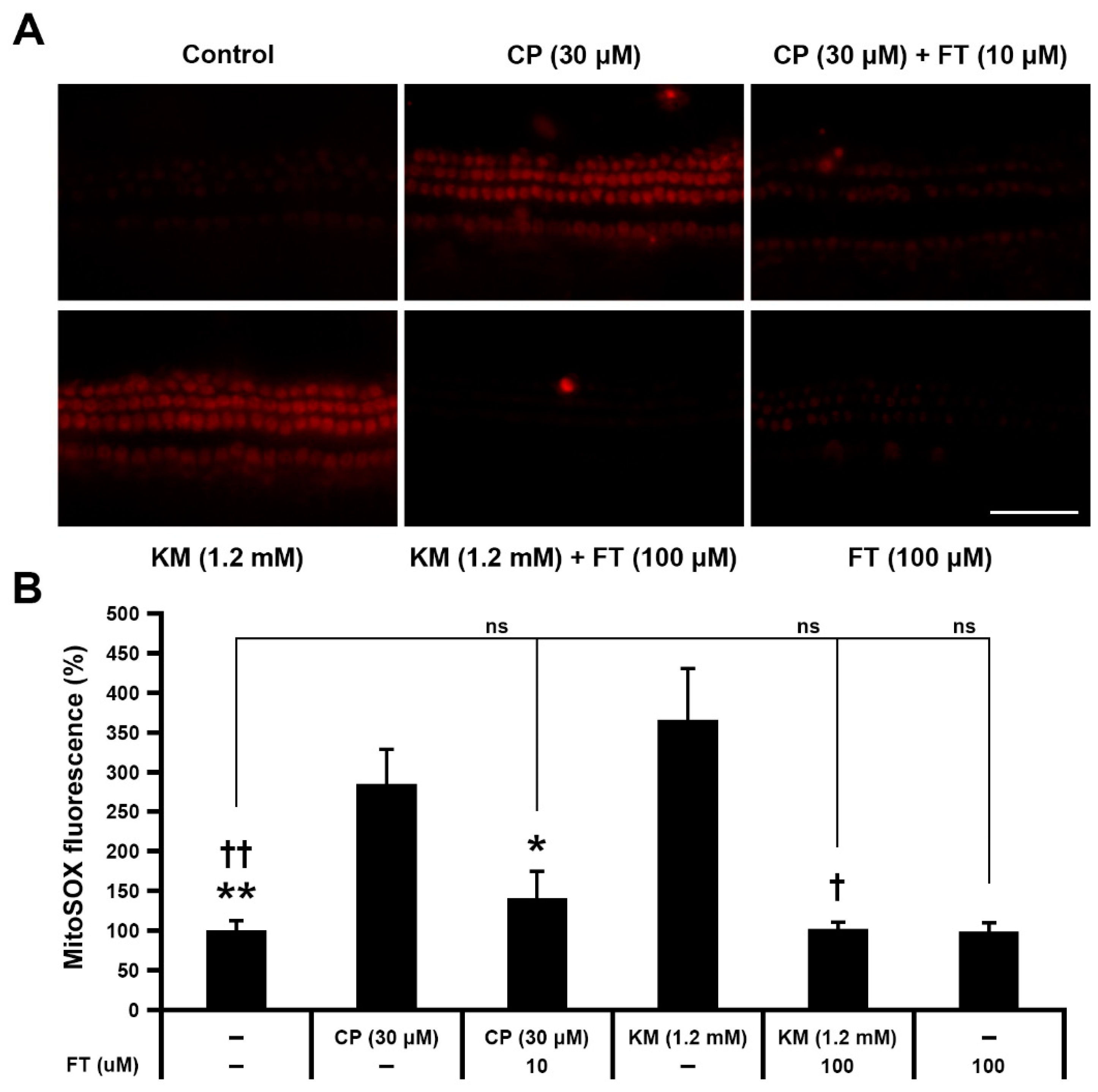 Antioxidants 10 01526 g003