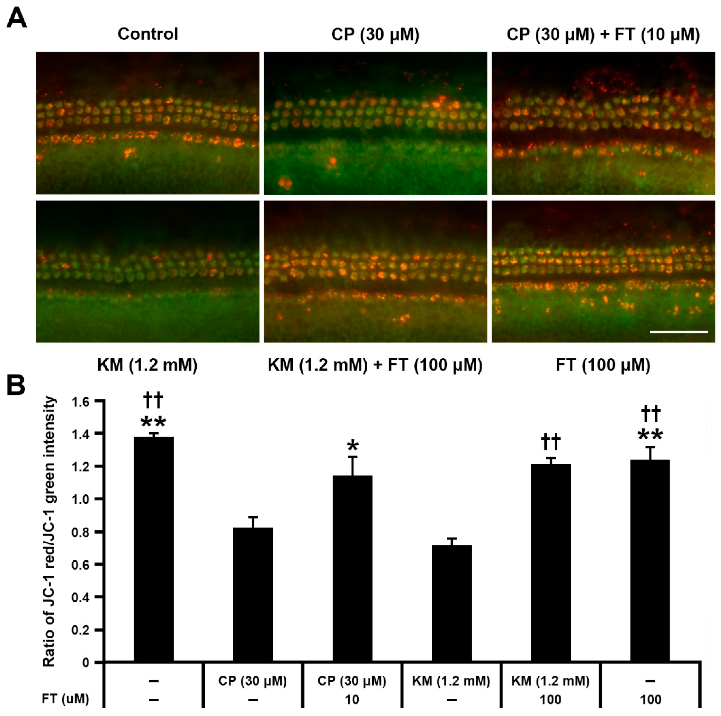 Antioxidants 10 01526 g004
