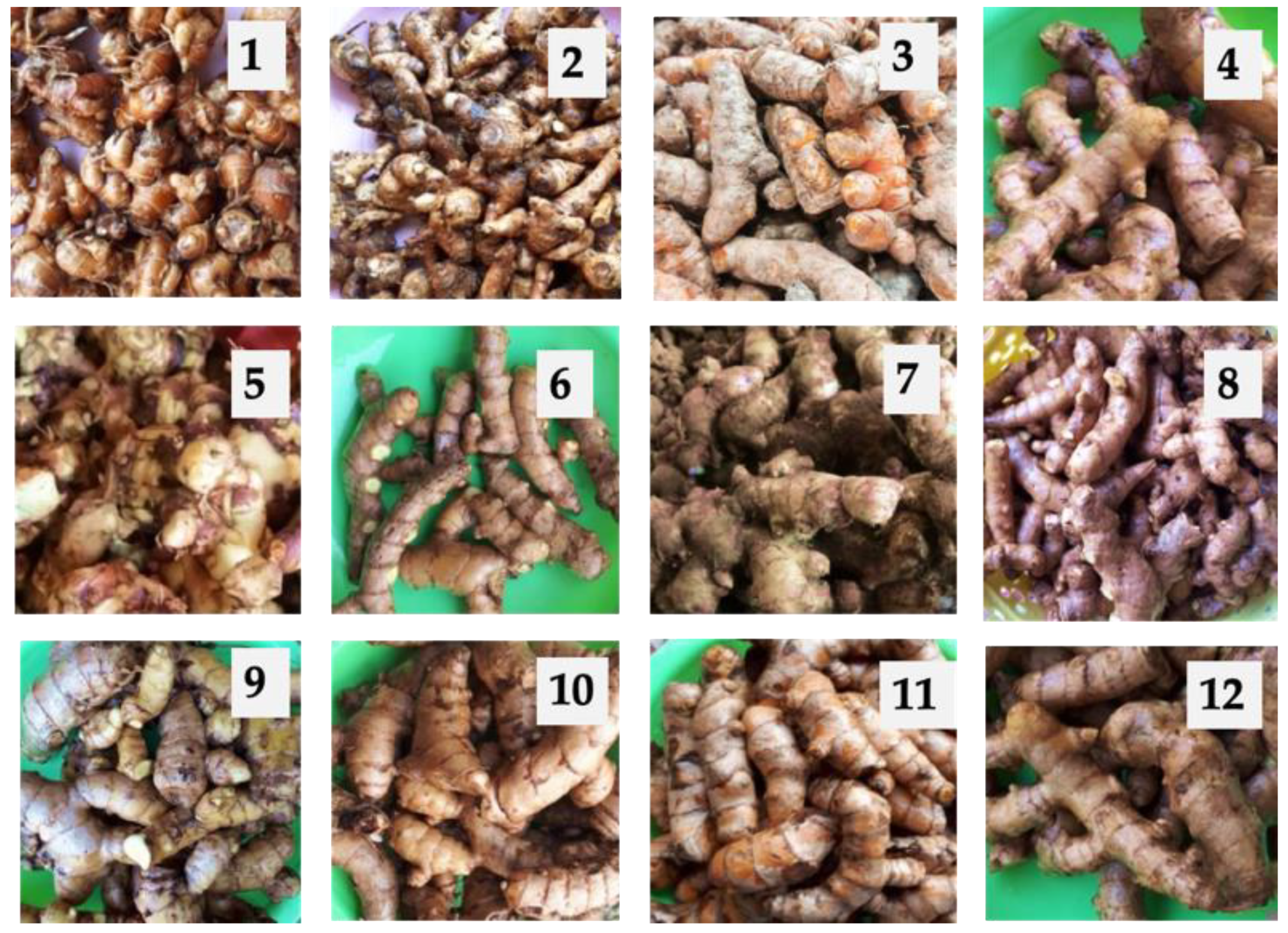 Antioxidants 10 01530 g001 Antioxidants 10 01530 g001