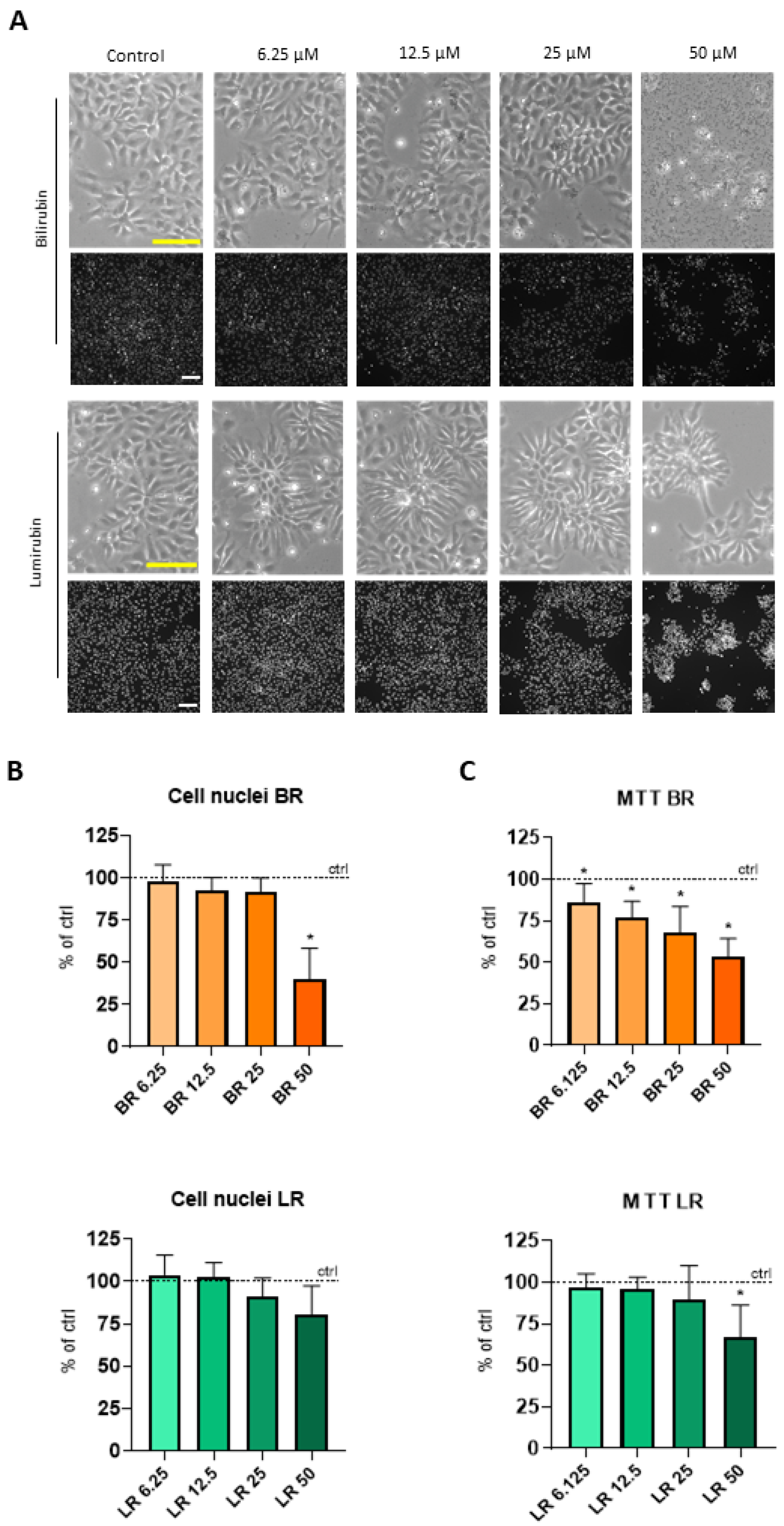 Antioxidants 10 01532 g001