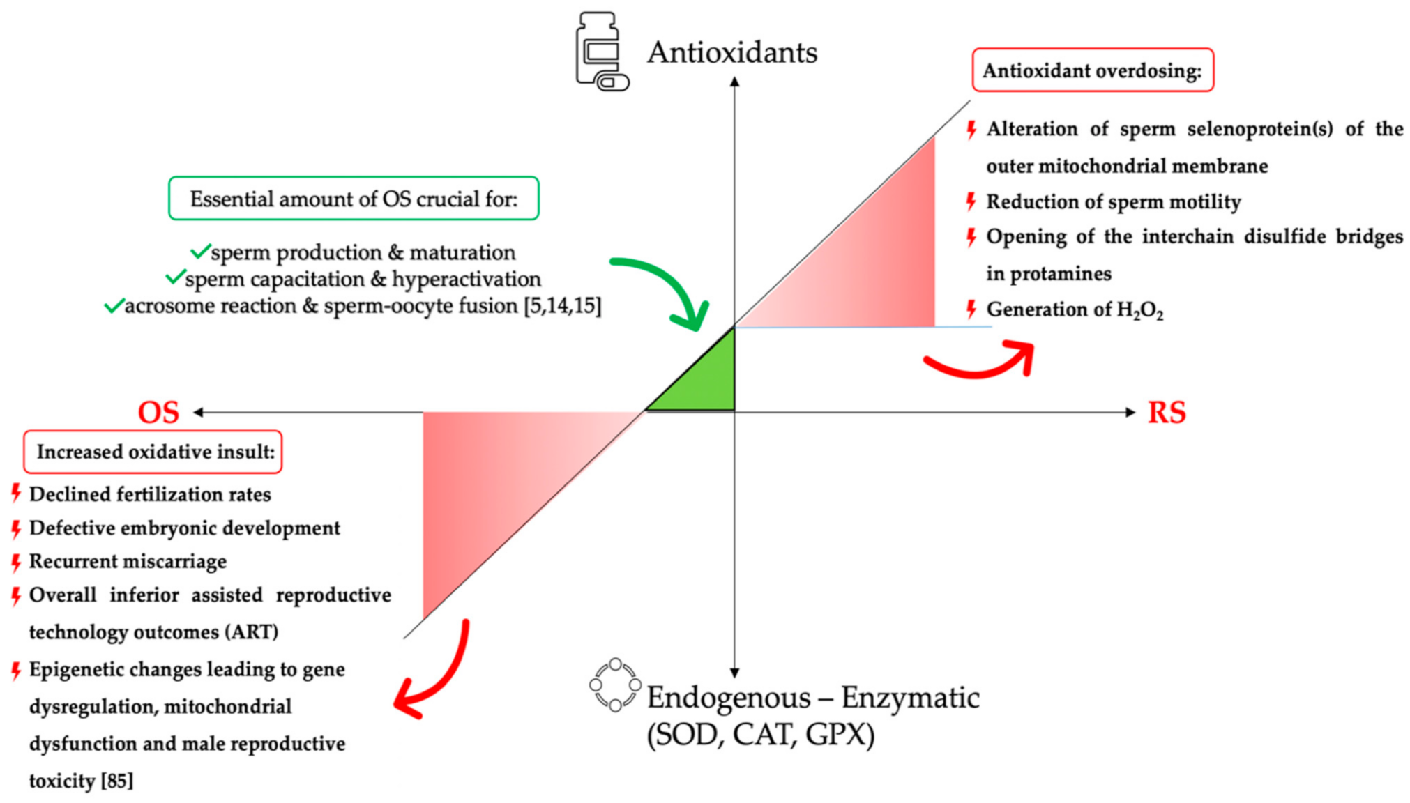 Antioxidants 10 01534 g002 Antioxidants 10 01534 g002