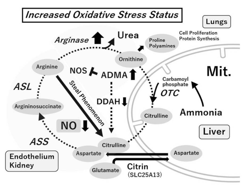 Antioxidants 10 01537 g002