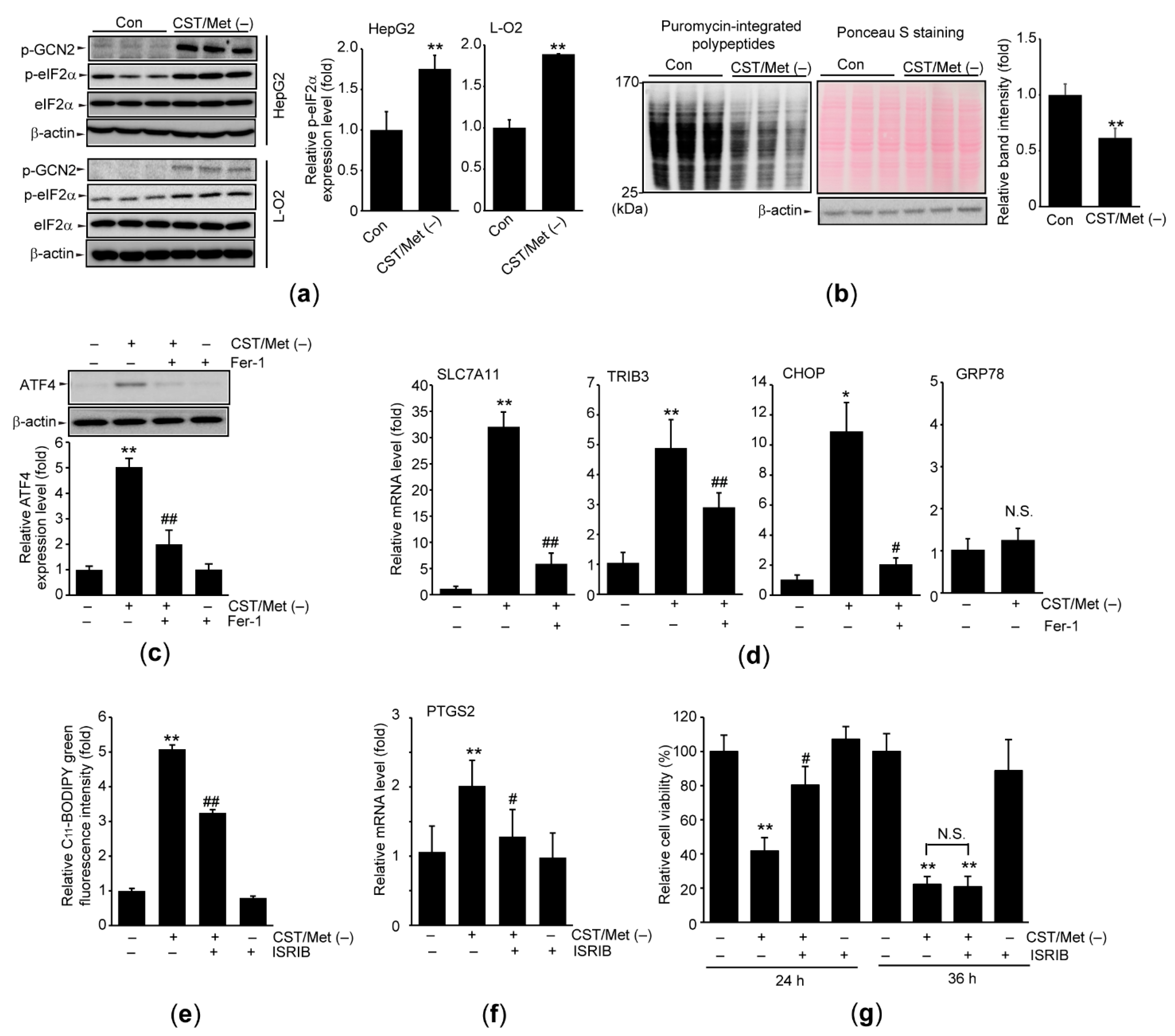 Antioxidants 10 01543 g002 Antioxidants 10 01543 g002