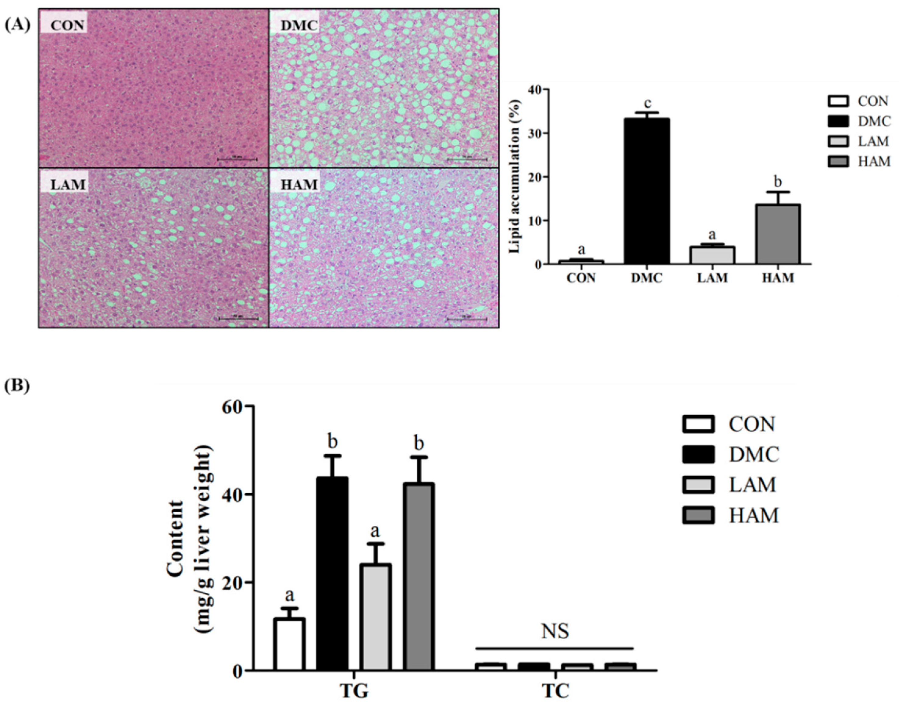 Antioxidants 10 01546 g005