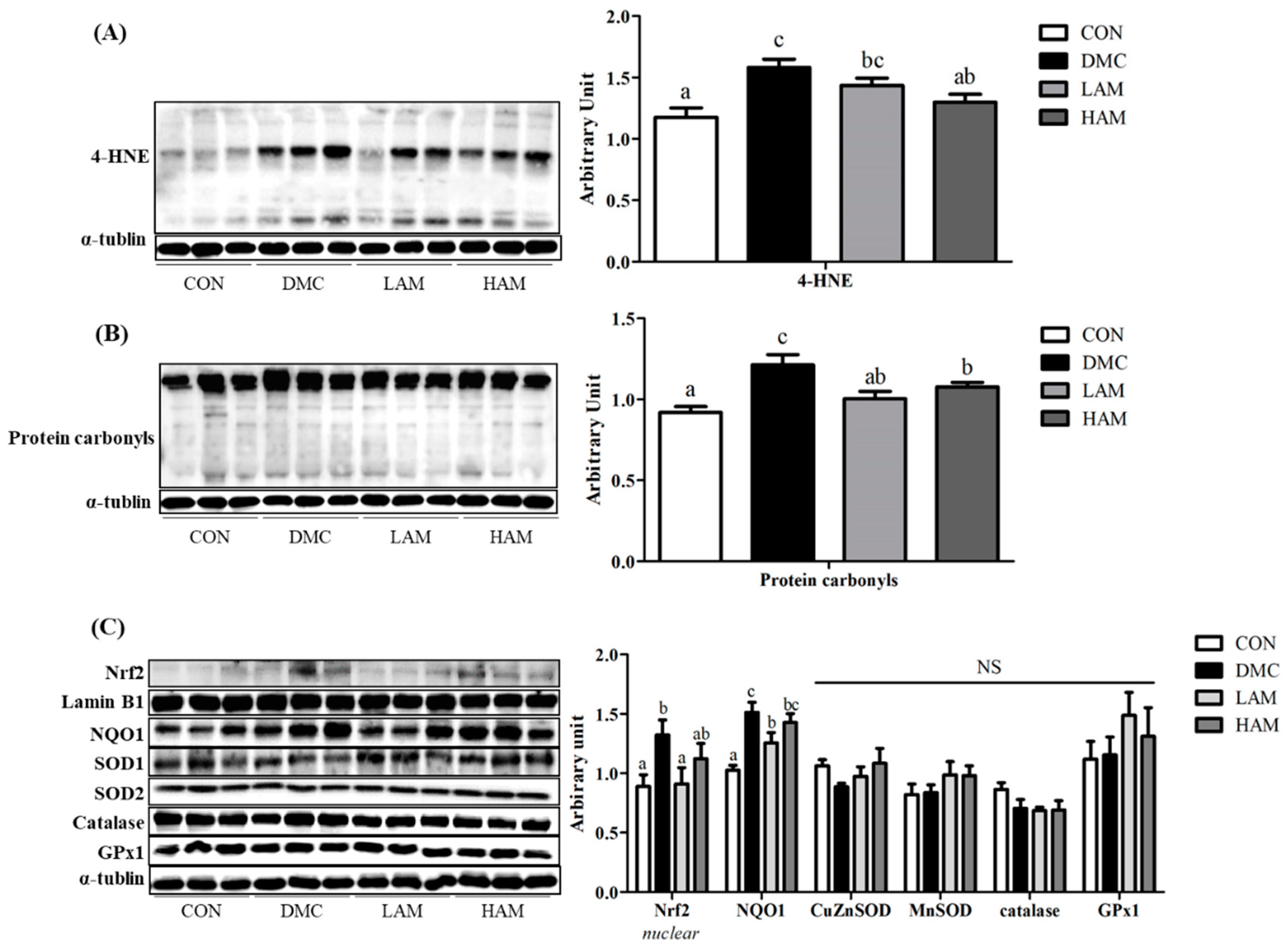 Antioxidants 10 01546 g007